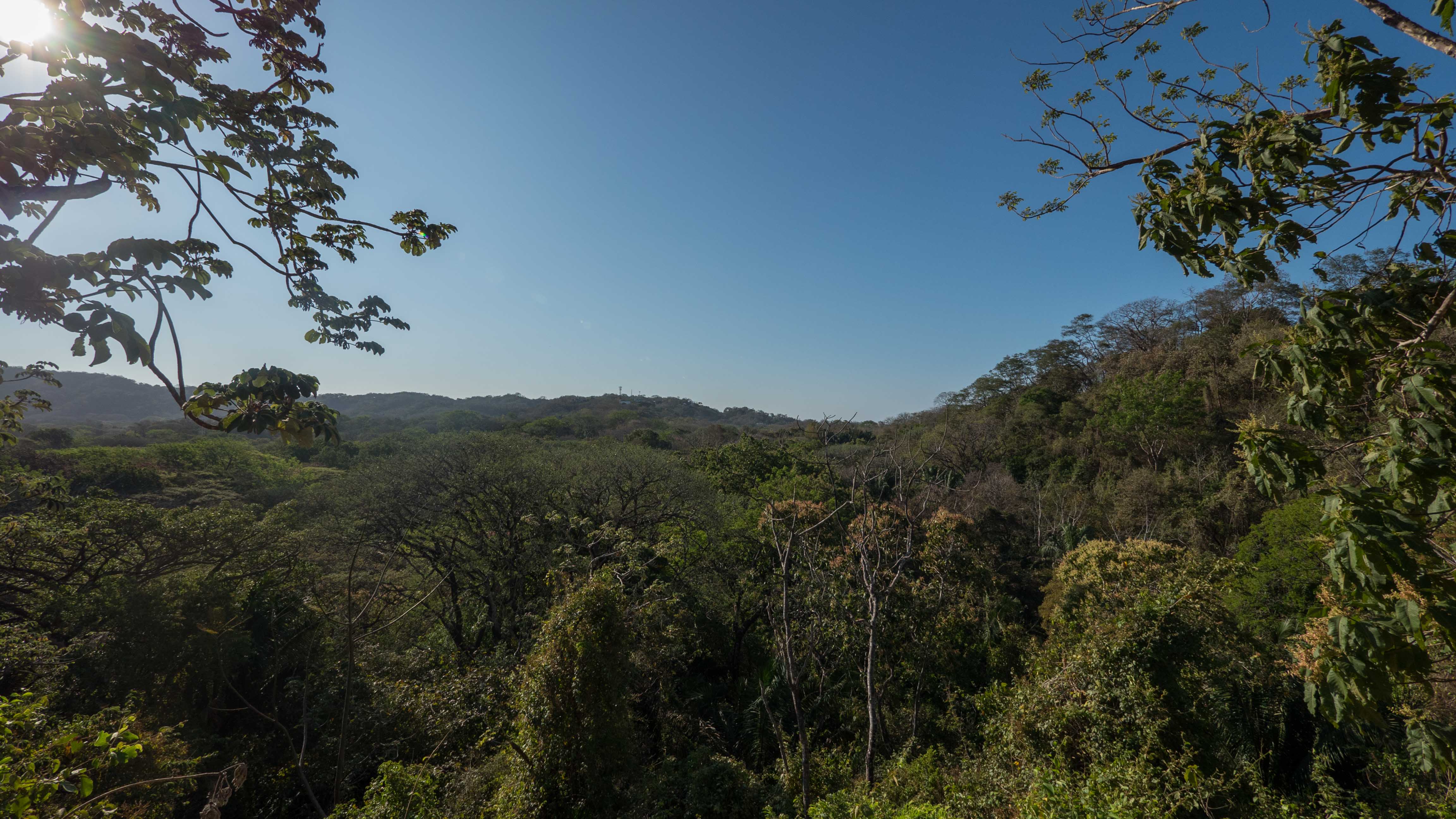 0 bed Land For Sale in Nosara, Guanacaste - thumb 8