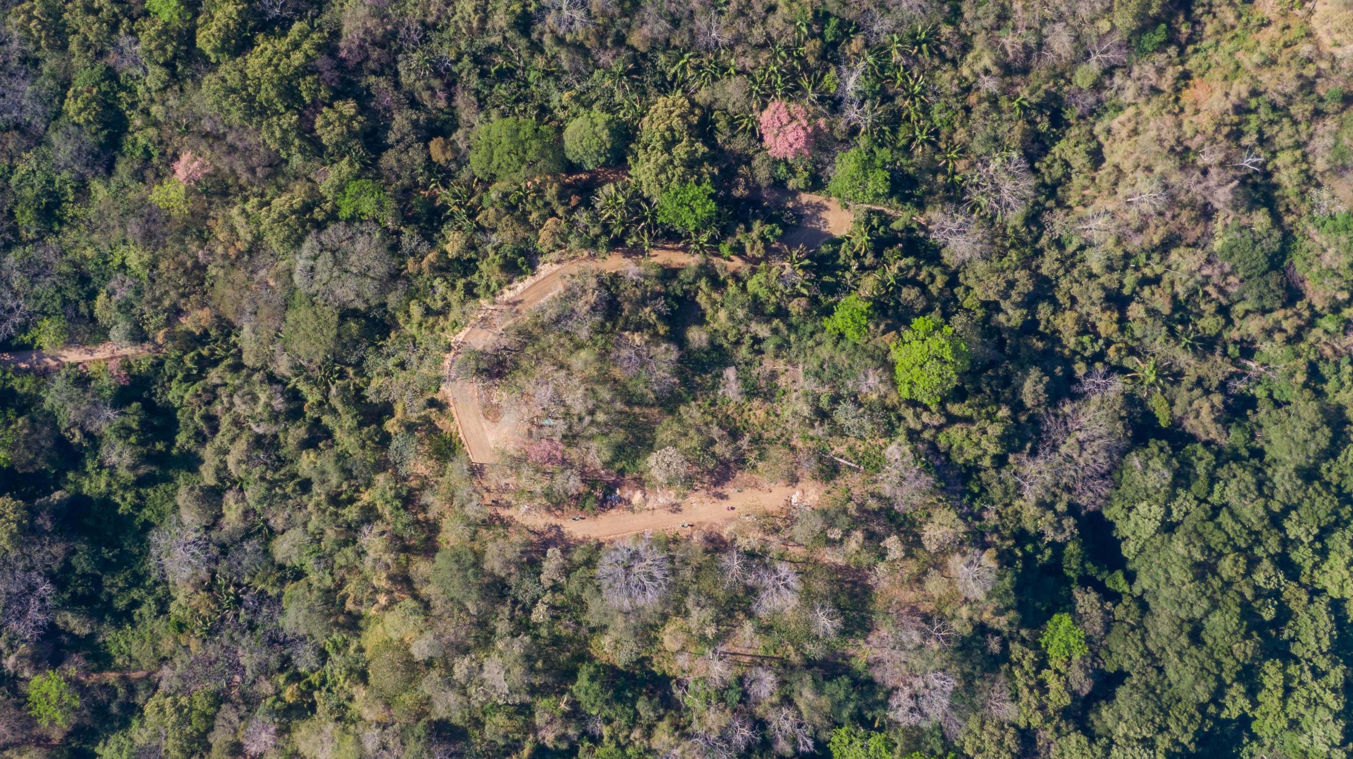 0 bed Land For Sale in Nosara, Guanacaste - thumb 5