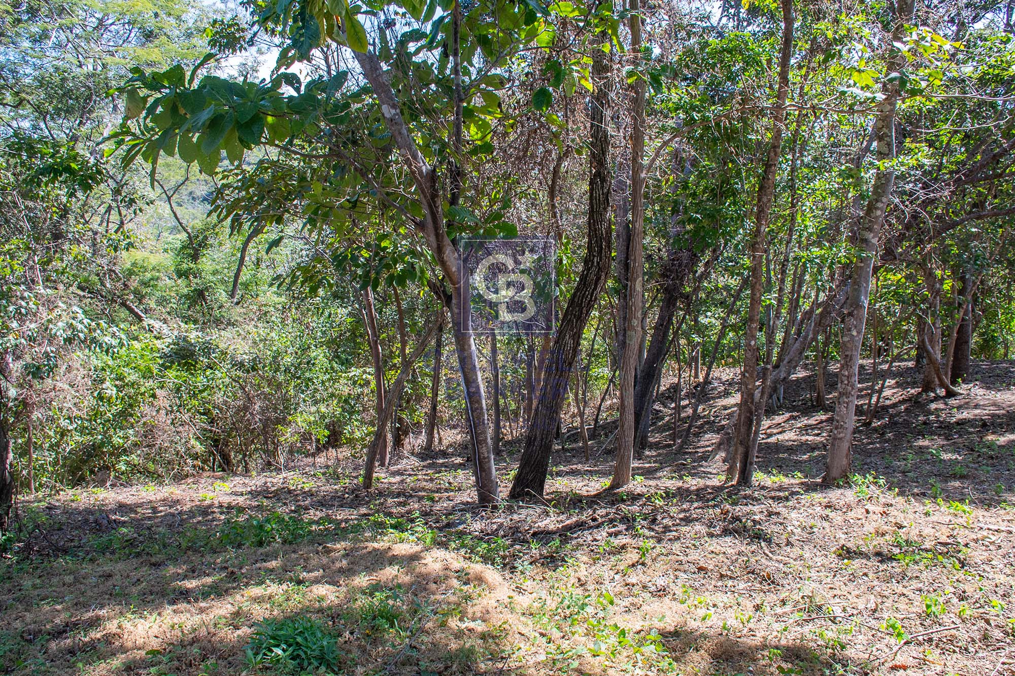 0 bed Land For Sale in Junquillal, Guanacaste - thumb 4