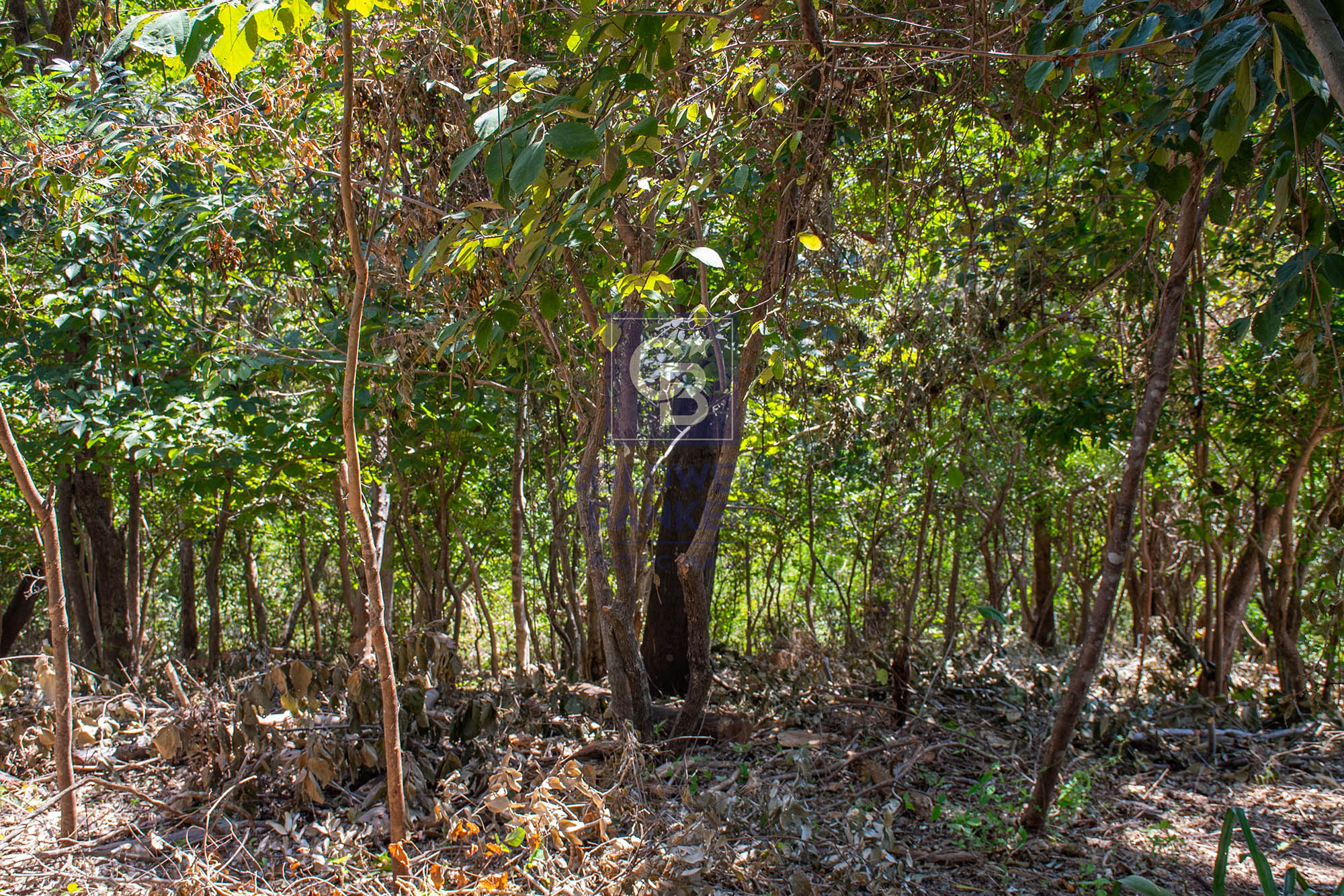 0 bed Land For Sale in Junquillal, Guanacaste - thumb 15