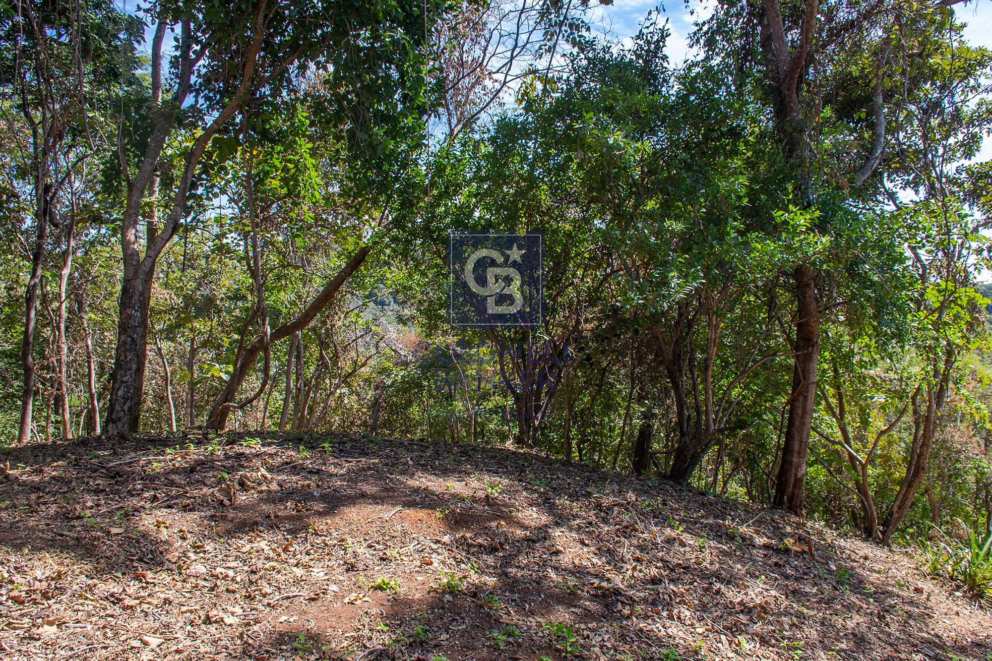0 bed Land For Sale in Junquillal, Guanacaste - thumb 25