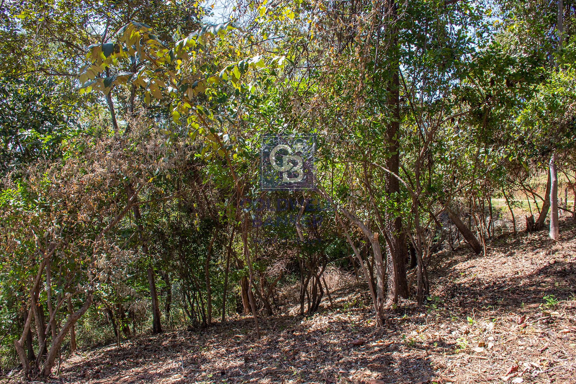 0 bed Land For Sale in Junquillal, Guanacaste - thumb 24