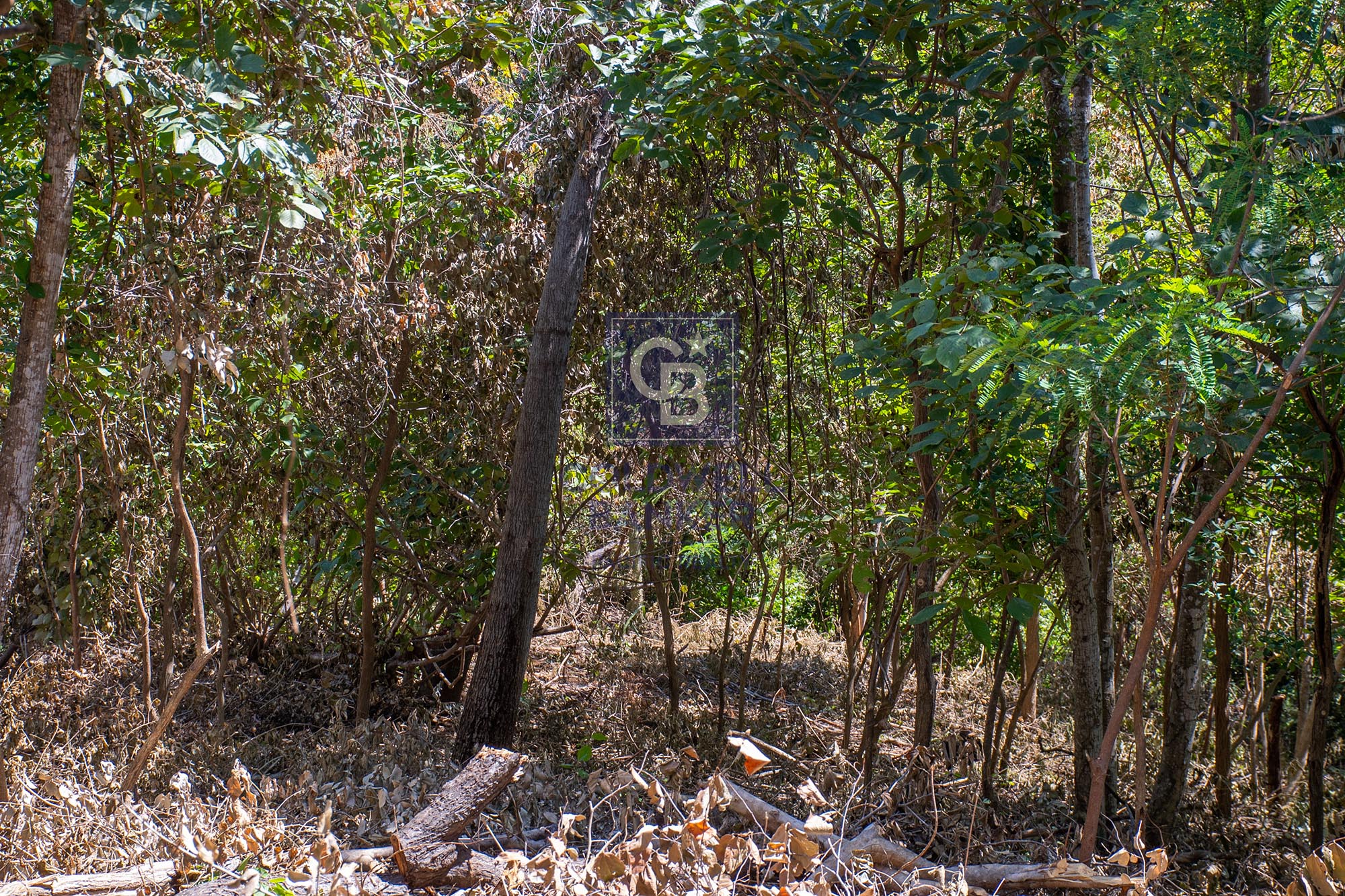 0 bed Land For Sale in Junquillal, Guanacaste - thumb 16