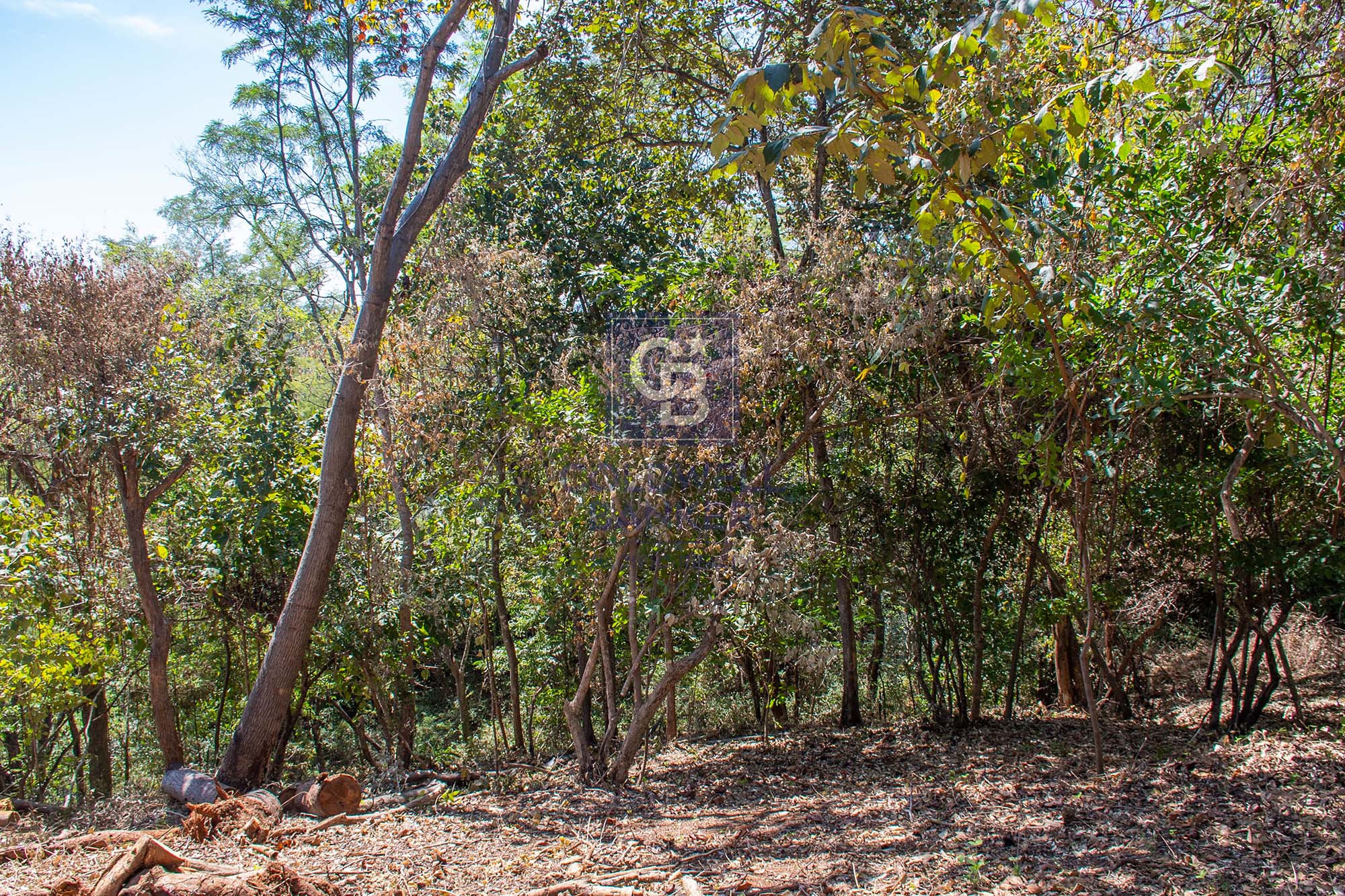 0 bed Land For Sale in Junquillal, Guanacaste - thumb 2
