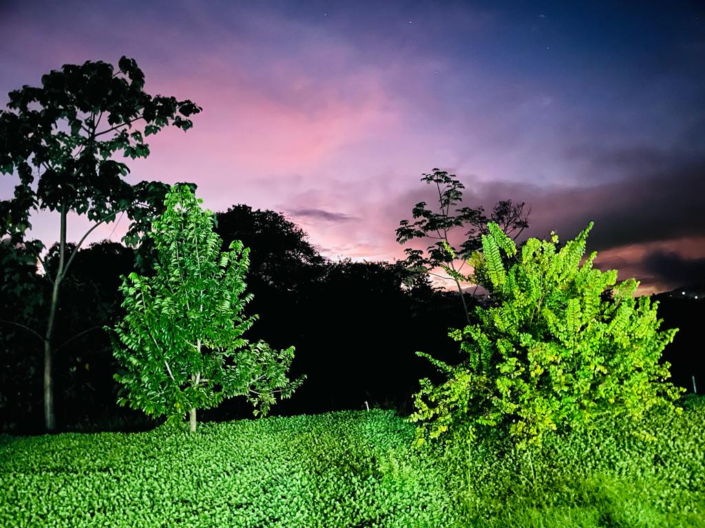 3 bed Single Family Homes For Rent in Ojochal, Puntarenas - thumb 21