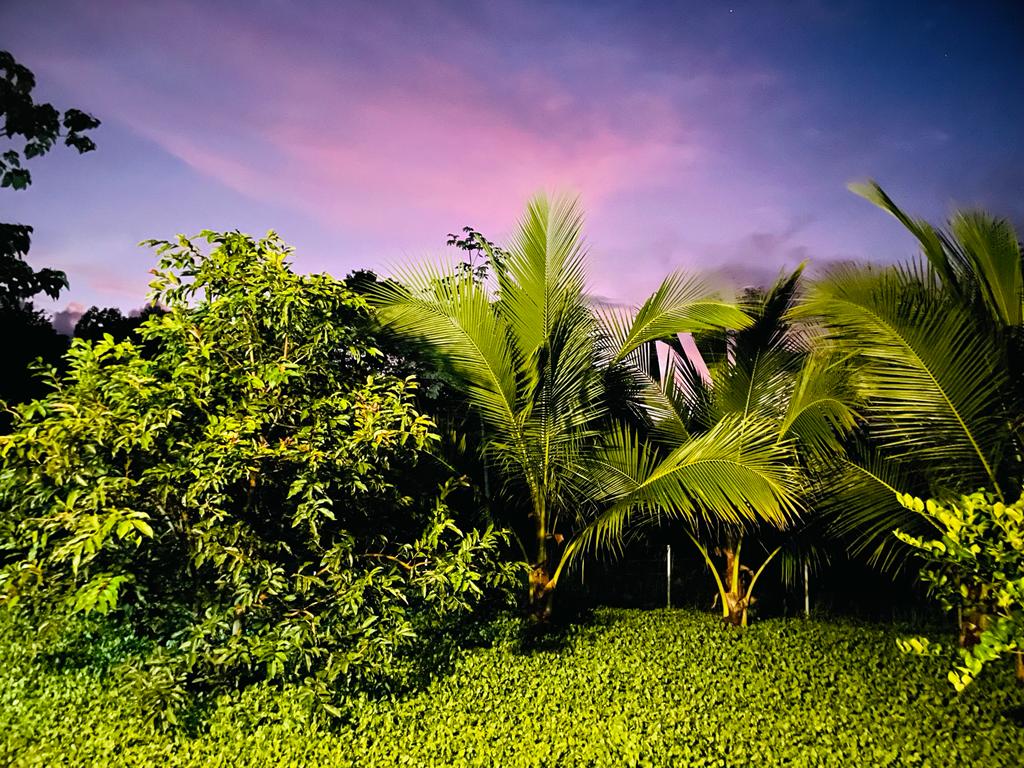 3 bed Single Family Homes For Rent in Ojochal, Puntarenas - thumb 20