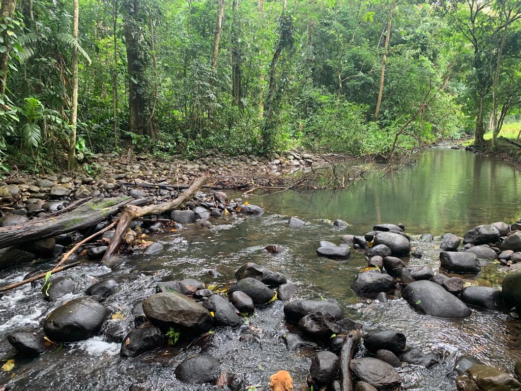 4 bed Single Family Homes For Sale in La Fortuna, Alajuela - thumb 4