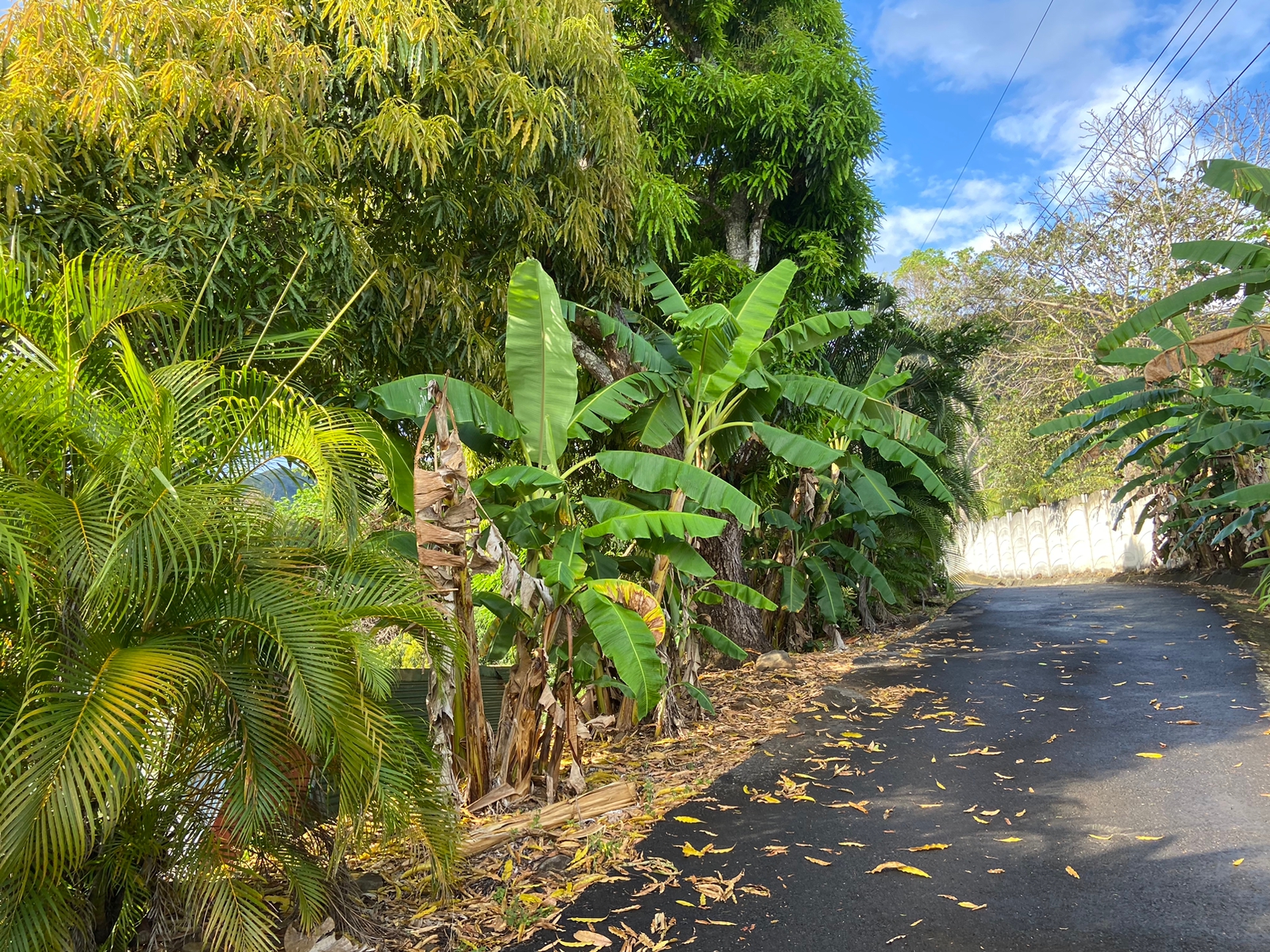 0 bed Land For Sale in Atenas, Alajuela - thumb 5