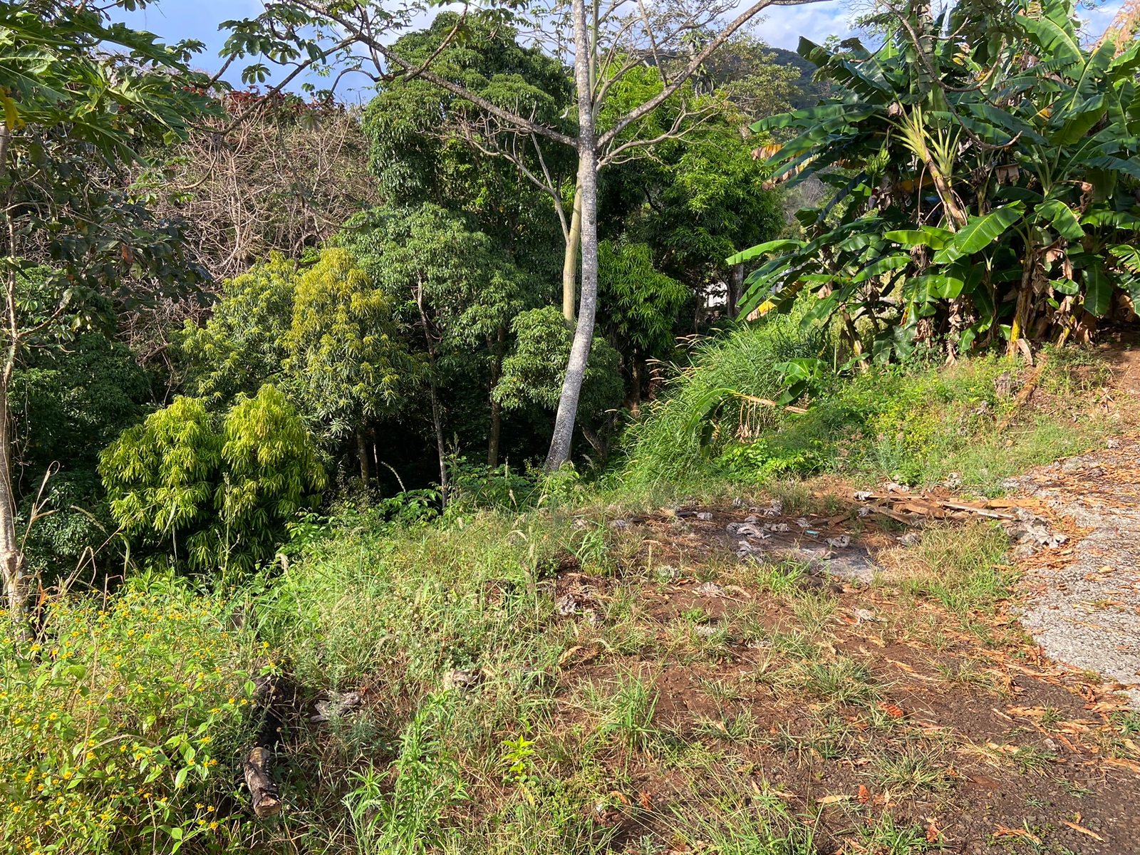 0 bed Land For Sale in Atenas, Alajuela - thumb 3