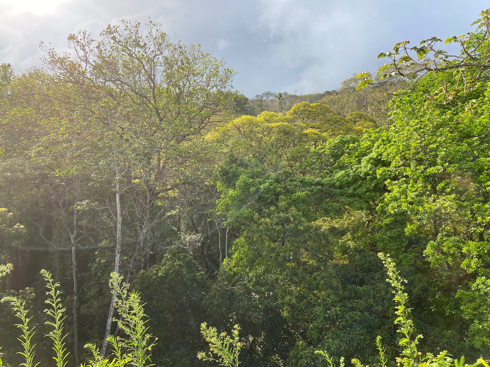 0 bed Land For Sale in Atenas, Alajuela - thumb 2