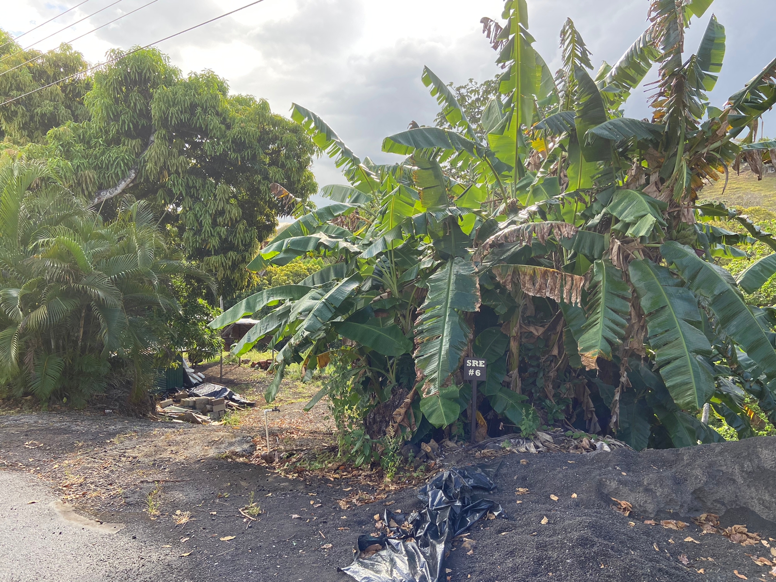 0 bed Land For Sale in Atenas, Alajuela - thumb 6