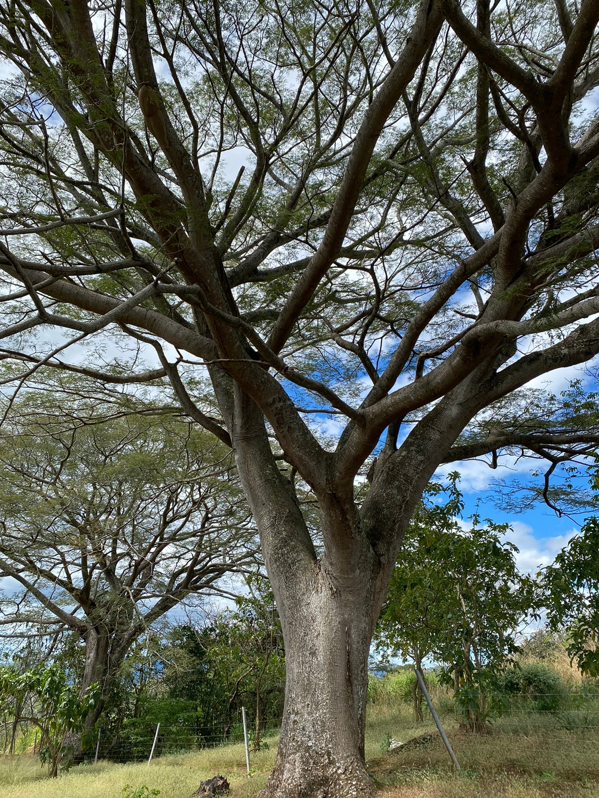 4 bed Single Family Homes For Sale in Alajuela, Alajuela - thumb 22