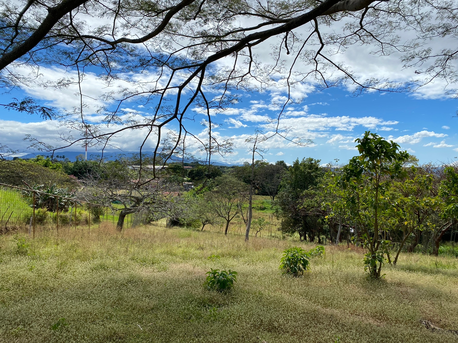 4 bed Single Family Homes For Sale in Alajuela, Alajuela - thumb 9