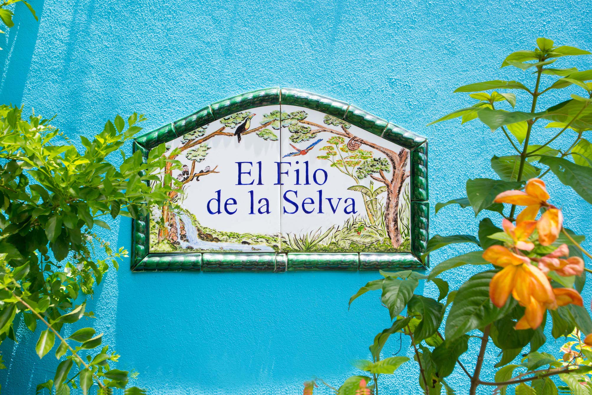 2 bed Single Family Homes For Sale in Manuel Antonio, Puntarenas - thumb 10