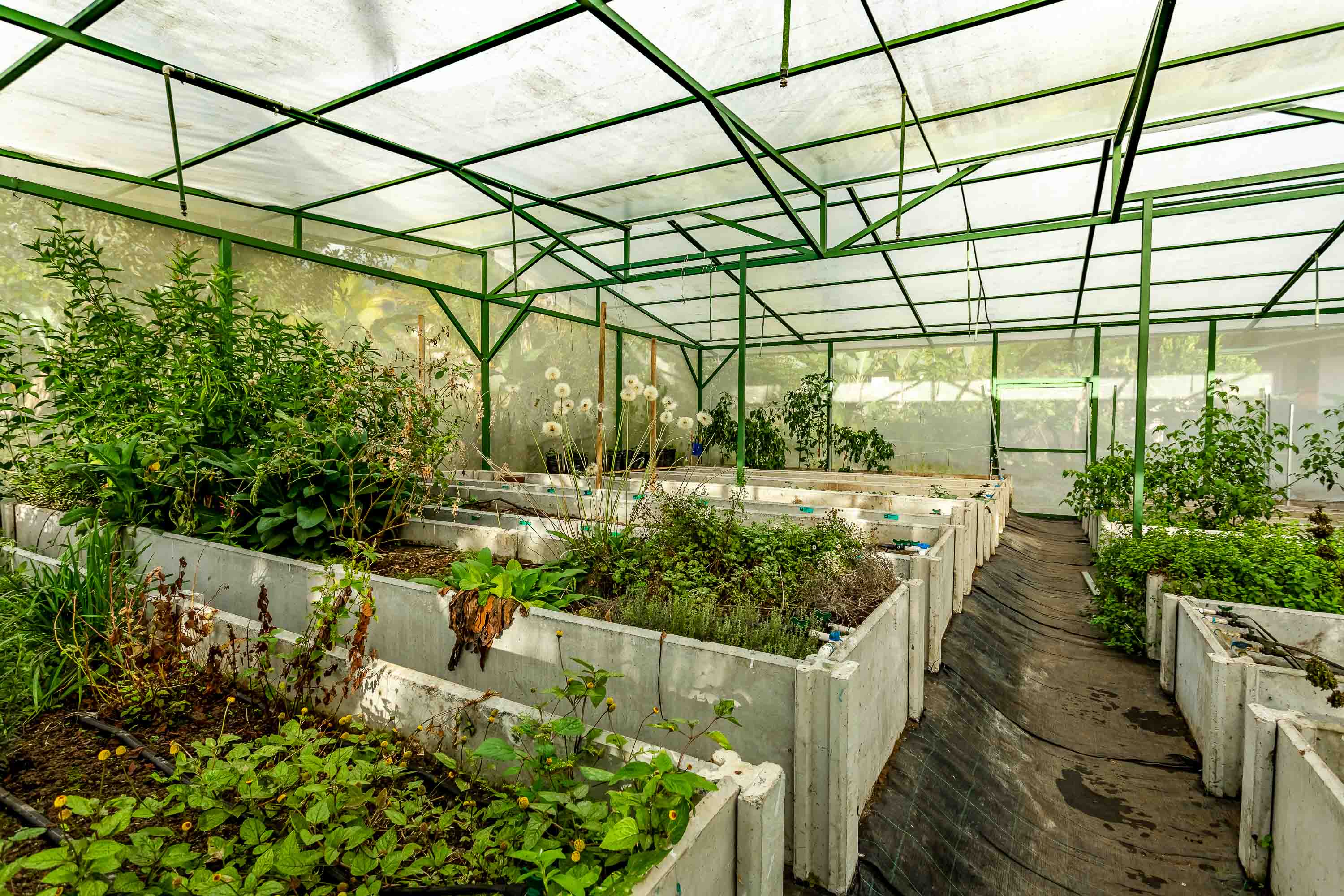 4 bed Single Family Homes For Sale in Perez Zeledon, Puntarenas - thumb 7