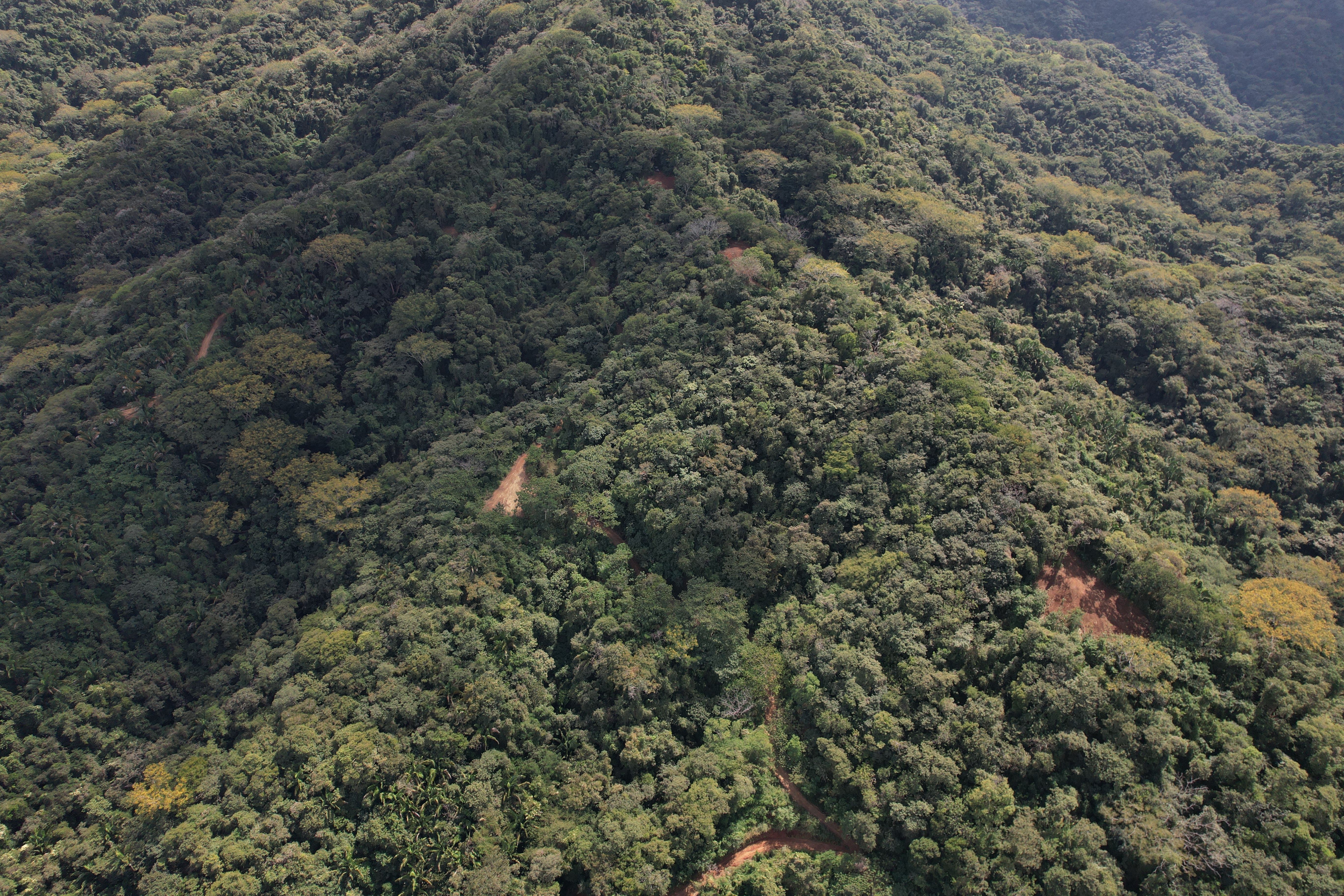 0 bed Land For Sale in Nosara, Guanacaste - thumb 13