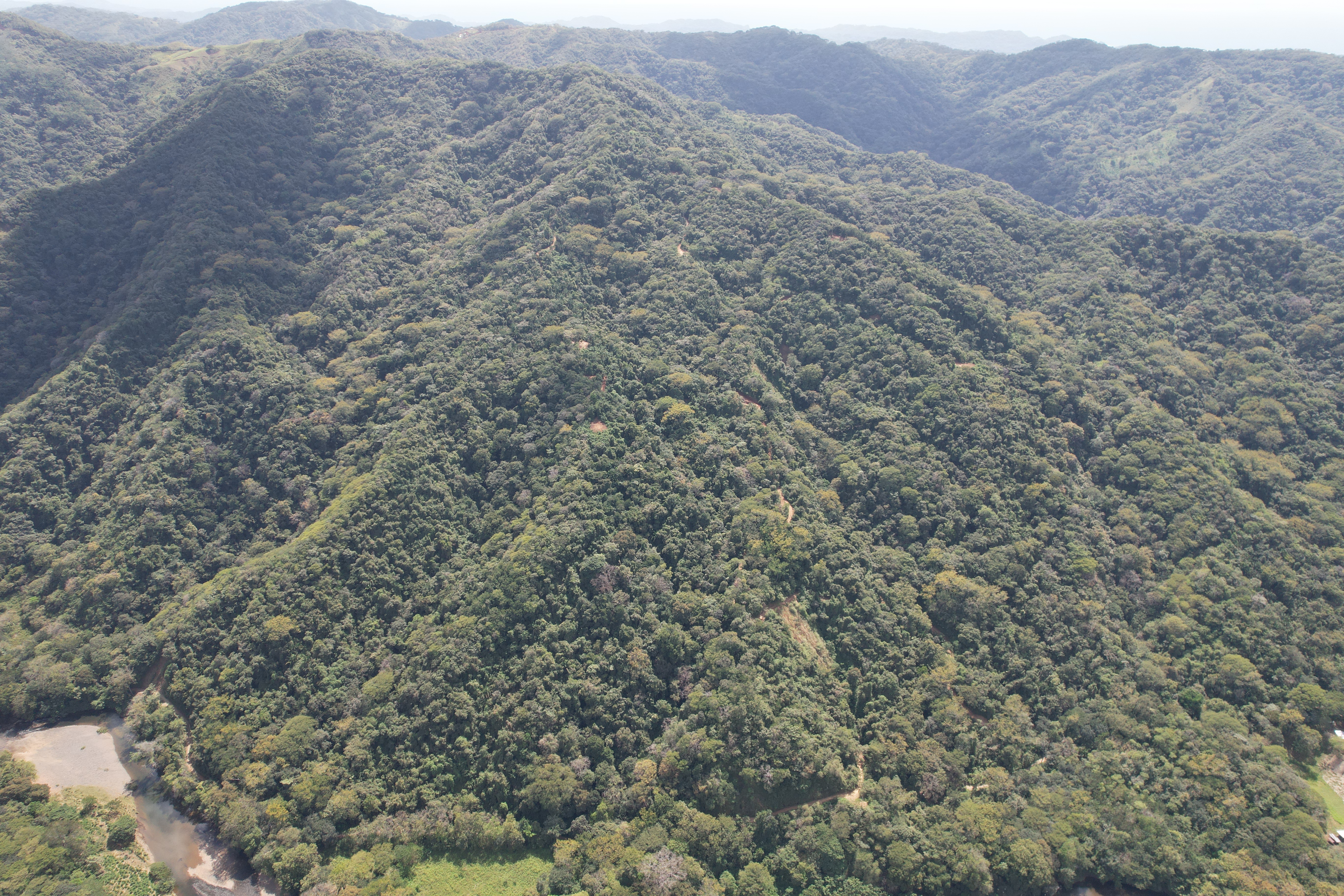 0 bed Land For Sale in Nosara, Guanacaste - thumb 16