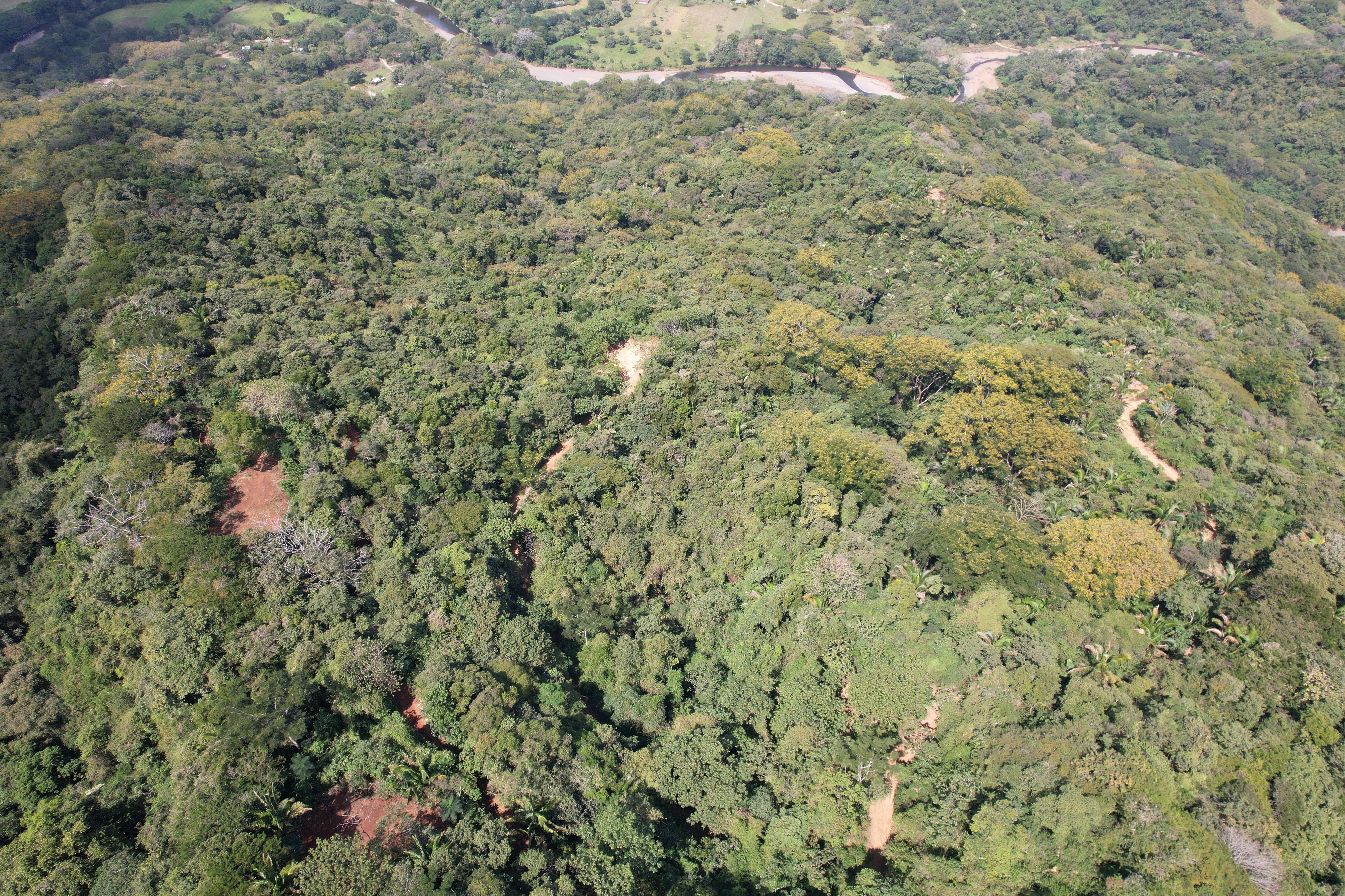 0 bed Land For Sale in Nosara, Guanacaste - thumb 9