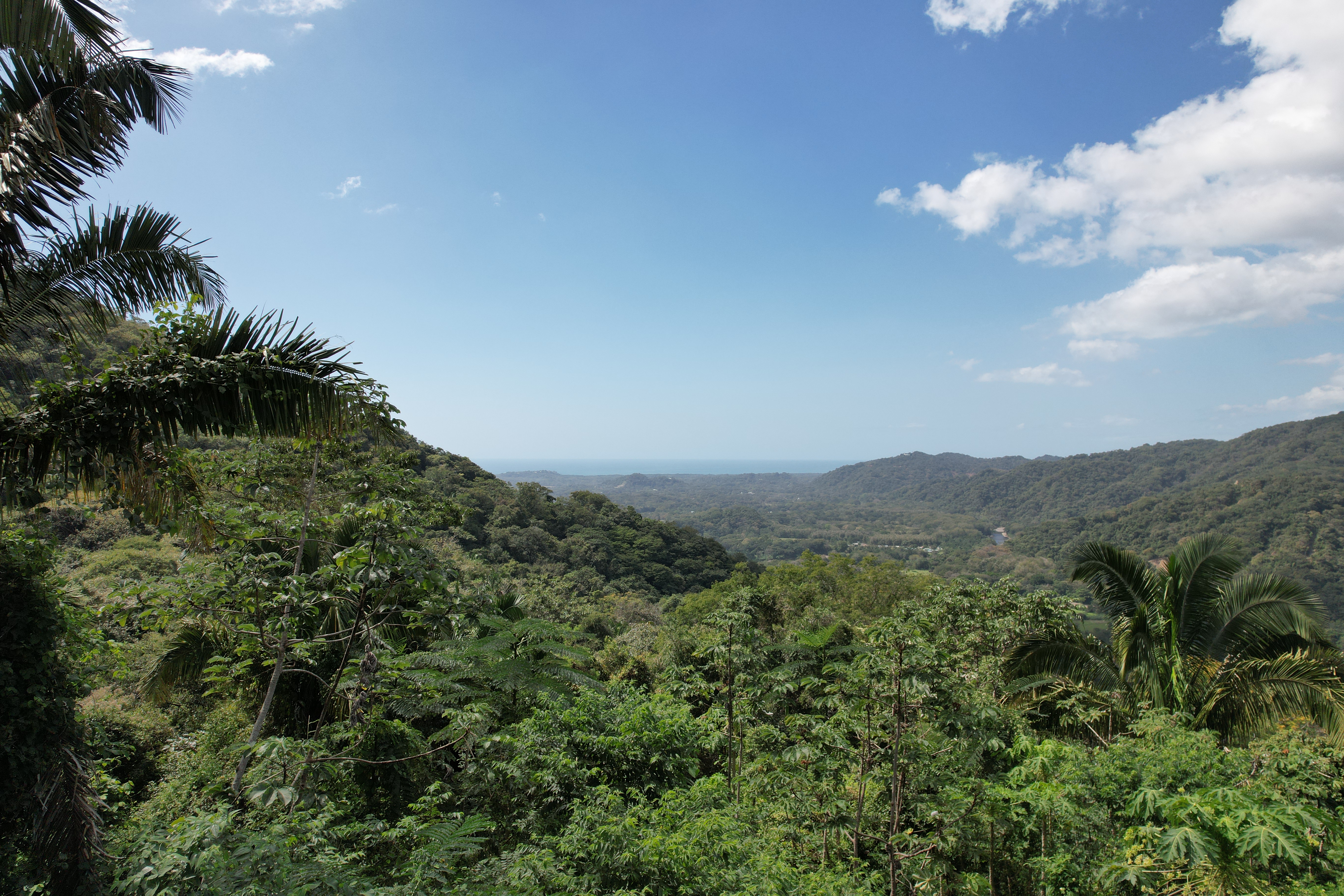 0 bed Land For Sale in Nosara, Guanacaste - thumb 4
