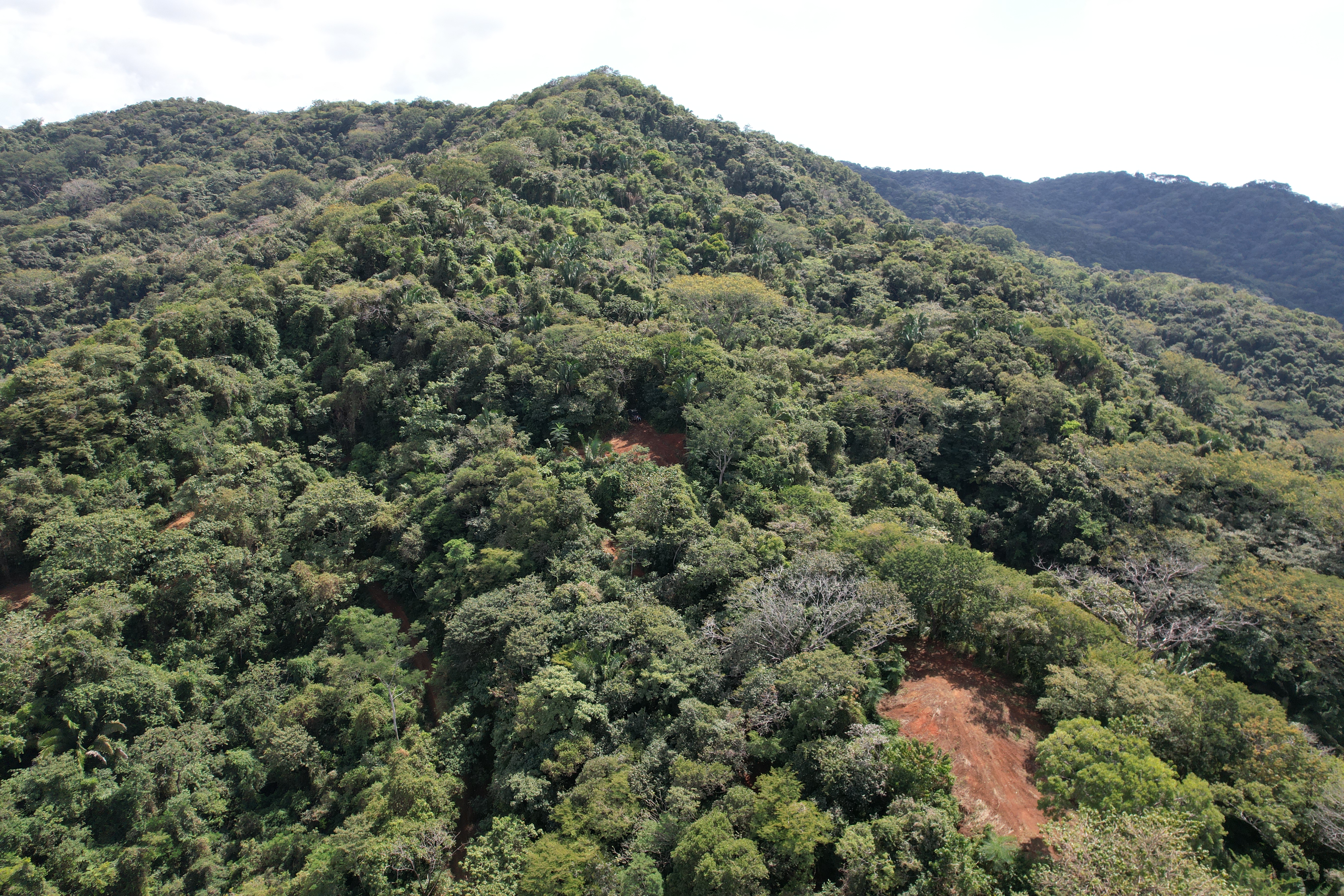 0 bed Land For Sale in Nosara, Guanacaste - thumb 7