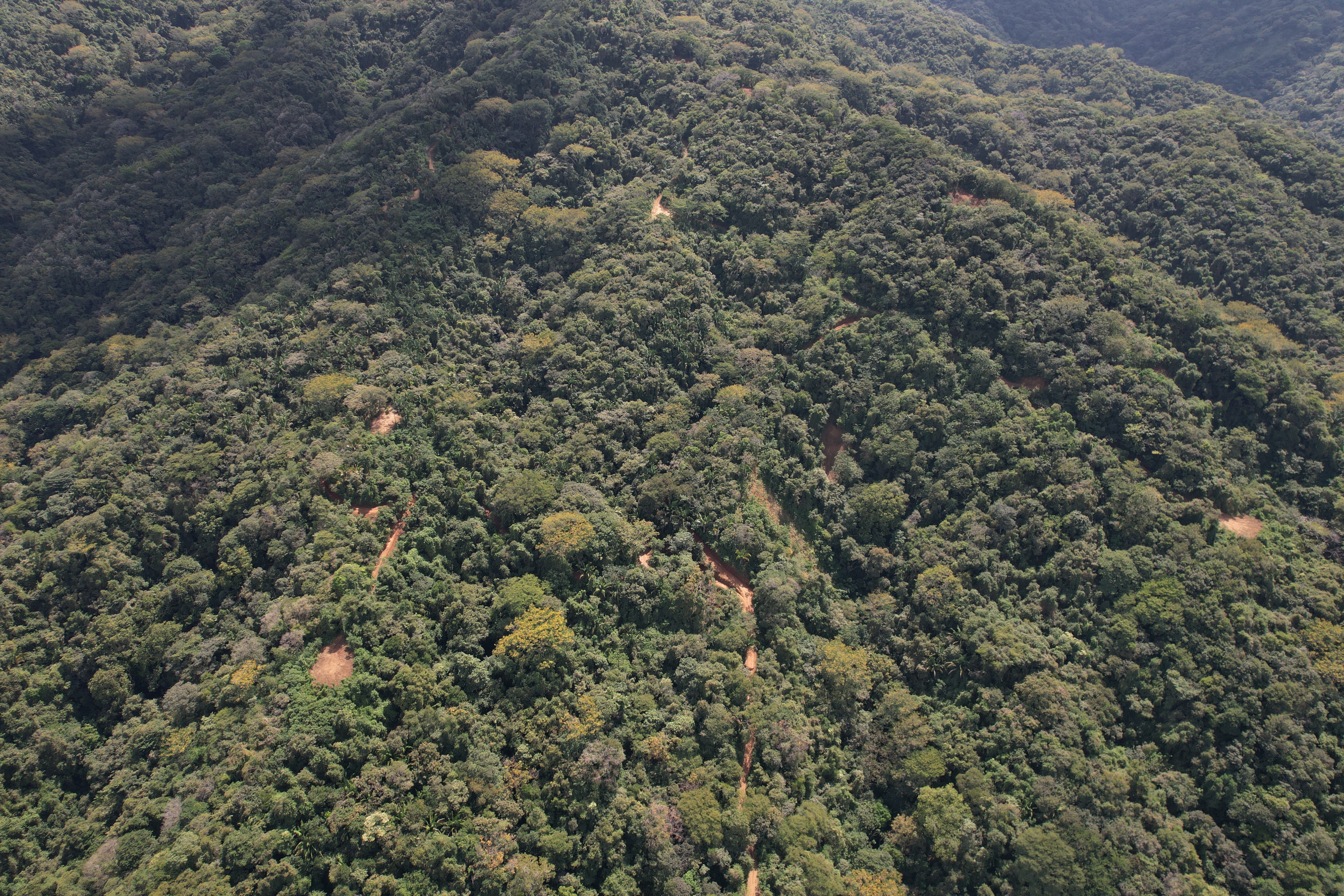 0 bed Land For Sale in Nosara, Guanacaste - thumb 14