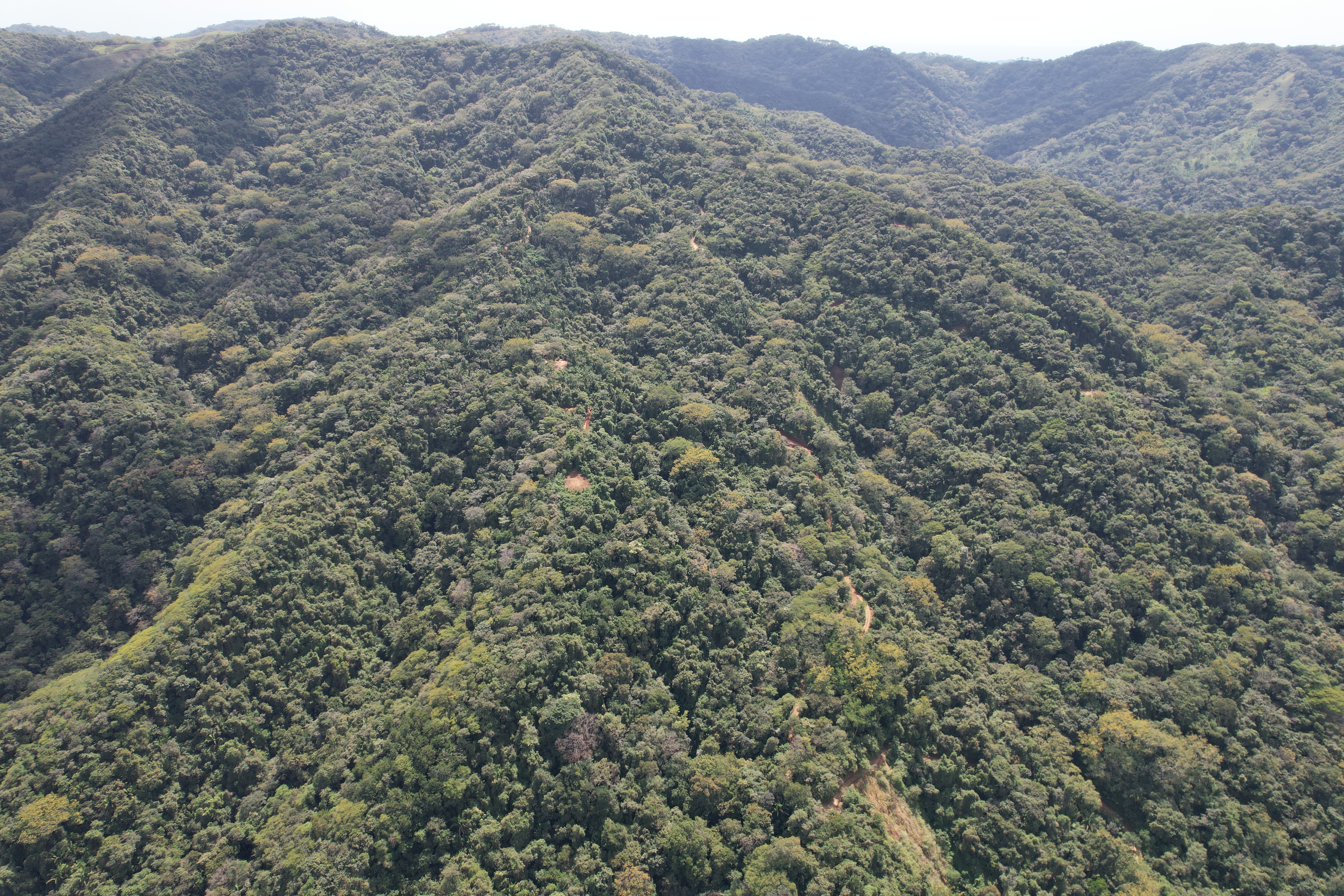 0 bed Land For Sale in Nosara, Guanacaste - thumb 17