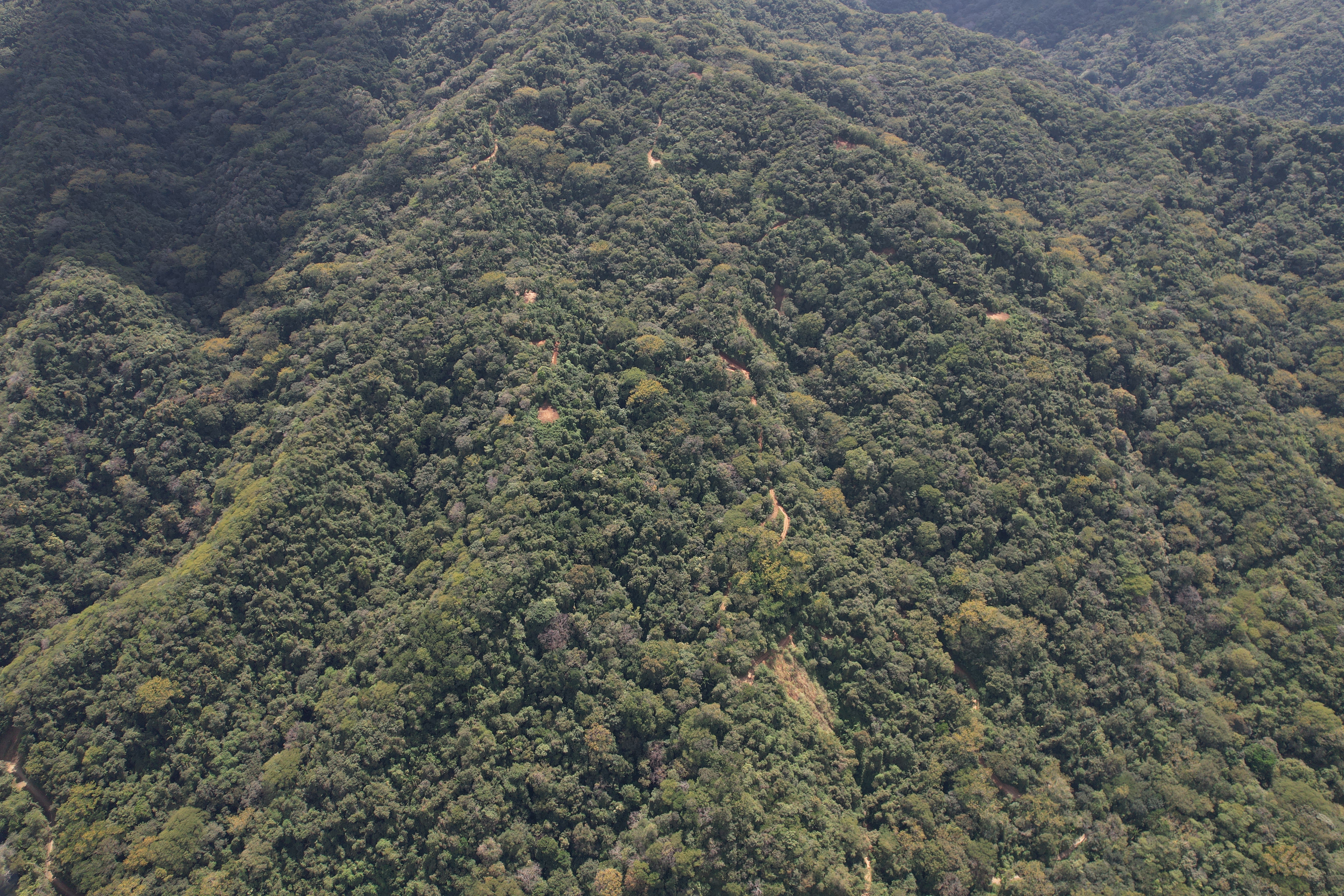 0 bed Land For Sale in Nosara, Guanacaste - thumb 15