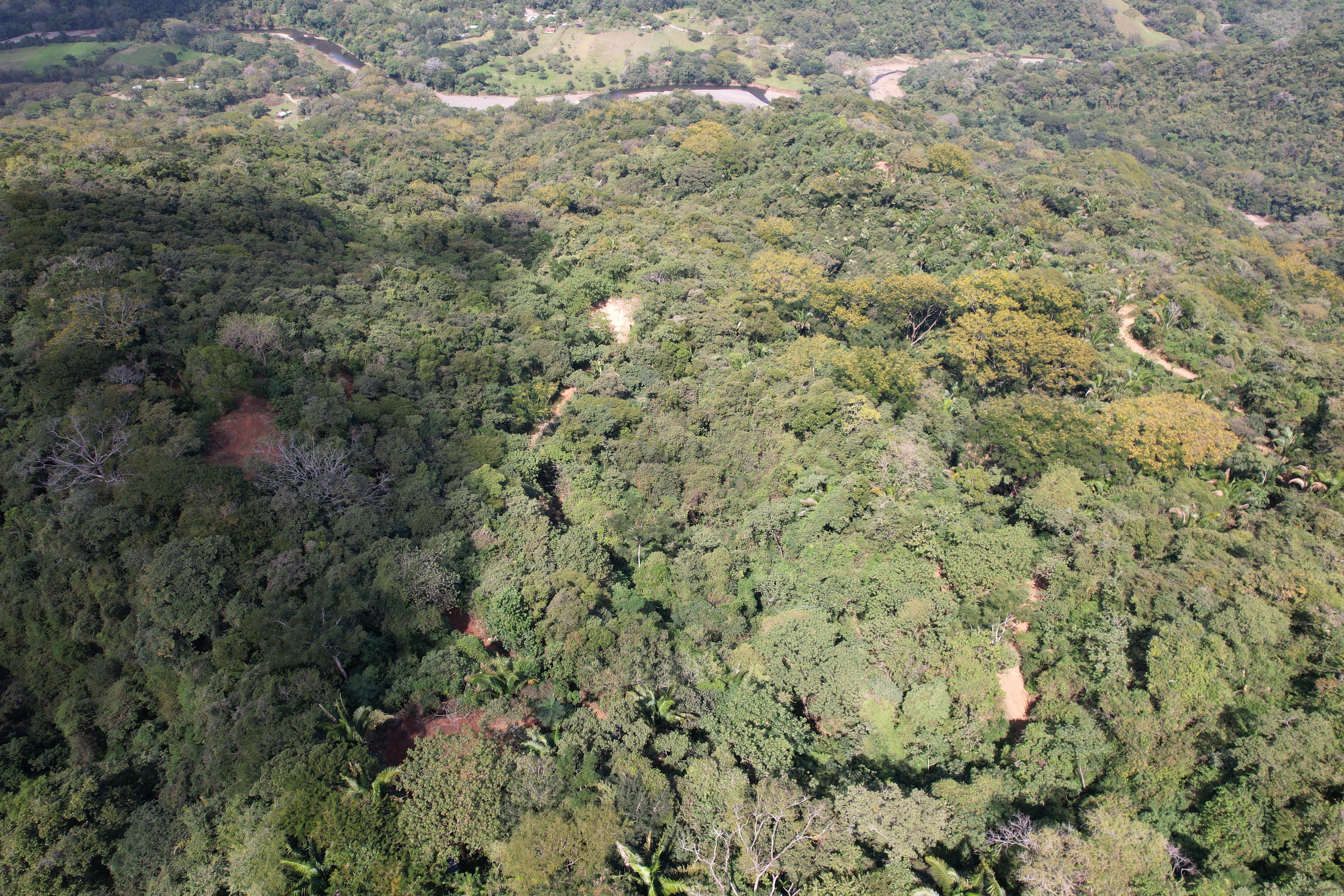 0 bed Land For Sale in Nosara, Guanacaste - thumb 10