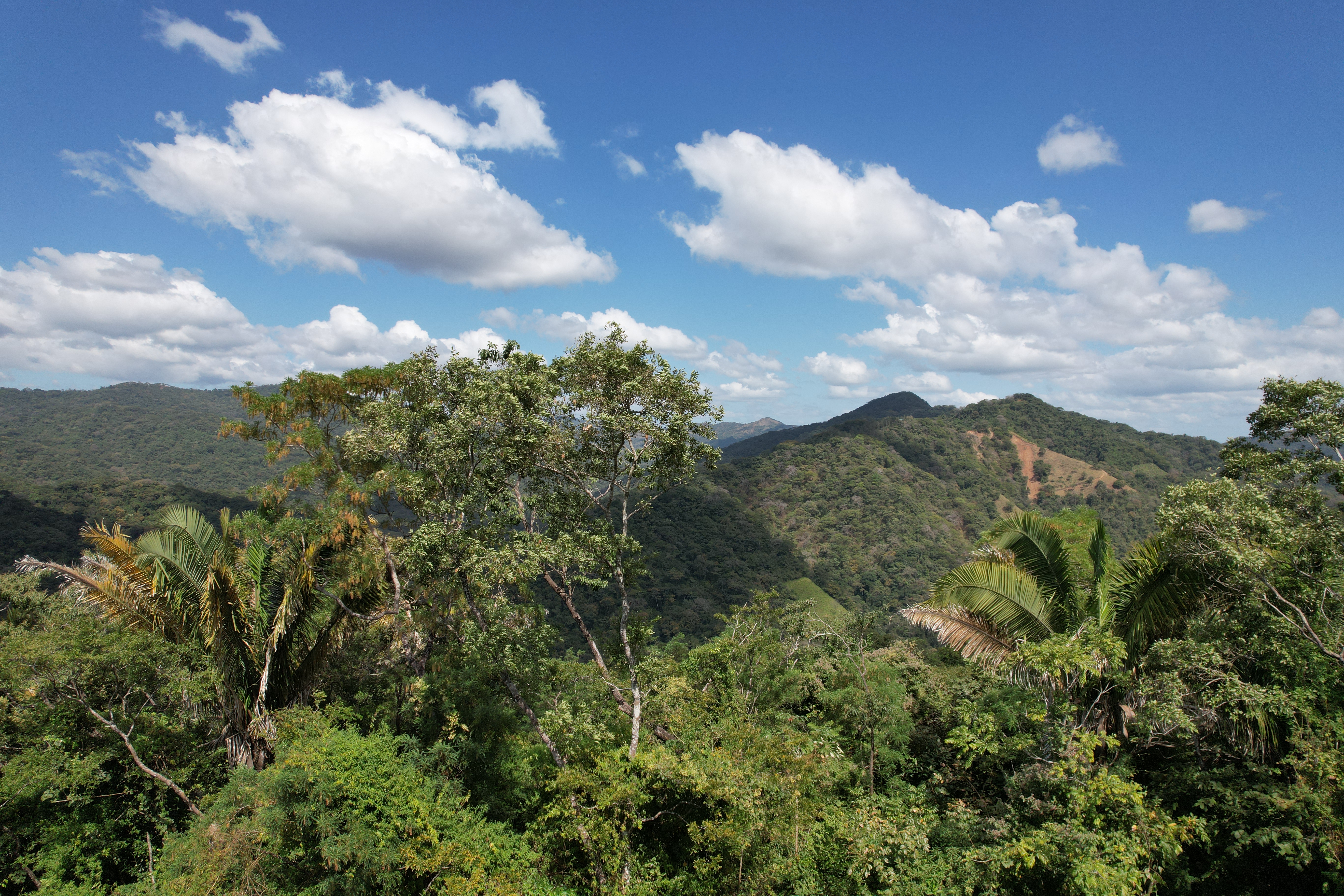0 bed Land For Sale in Nosara, Guanacaste - thumb 3