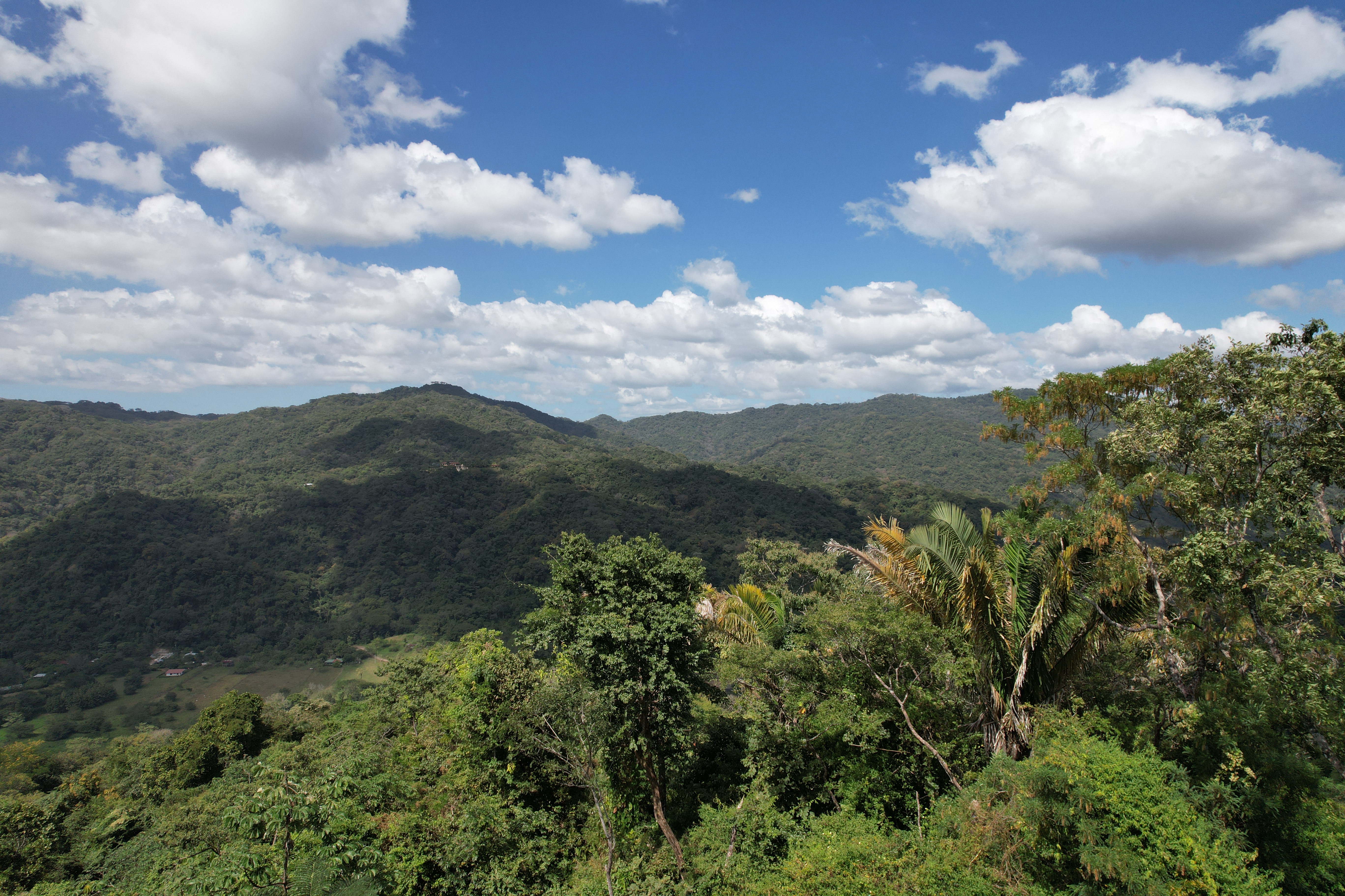 0 bed Land For Sale in Nosara, Guanacaste - thumb 2