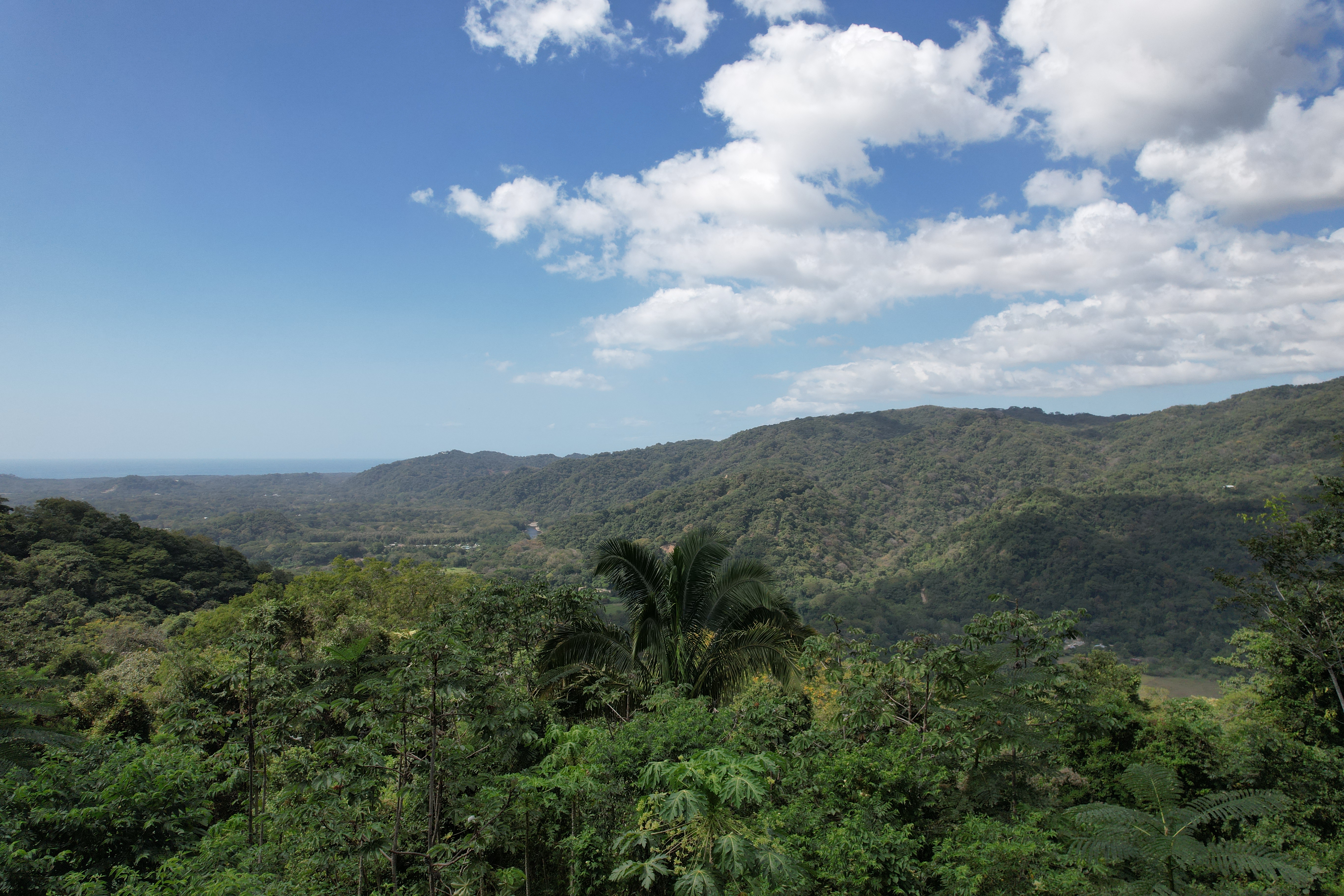 0 bed Land For Sale in Nosara, Guanacaste - thumb 1