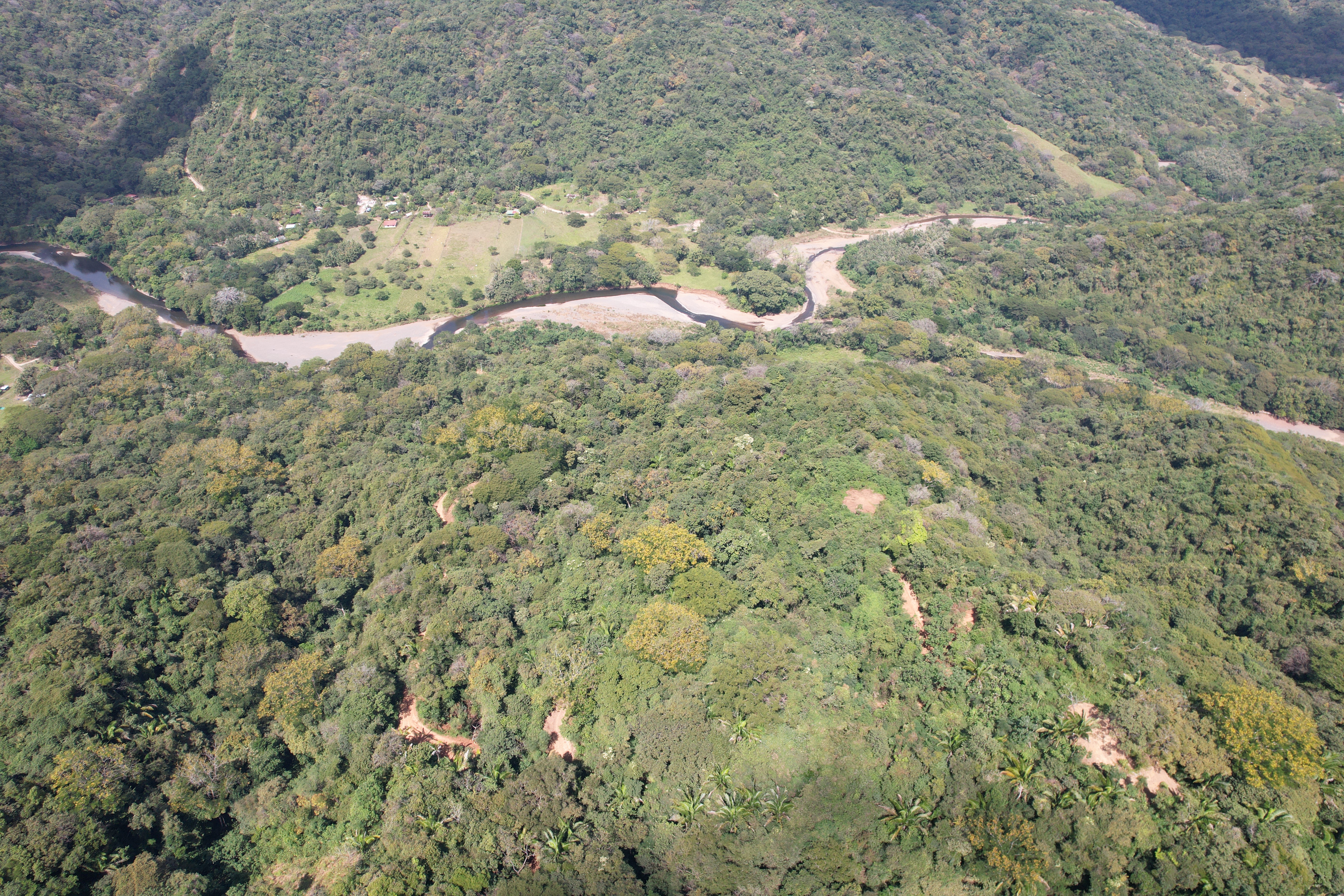 0 bed Land For Sale in Nosara, Guanacaste - thumb 11