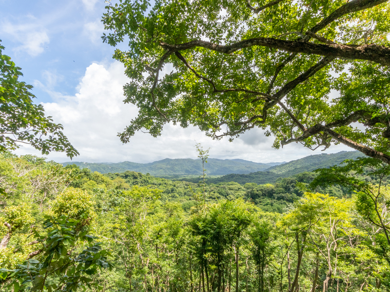 0 bed Land For Sale in Playa Guiones, Guanacaste - 1