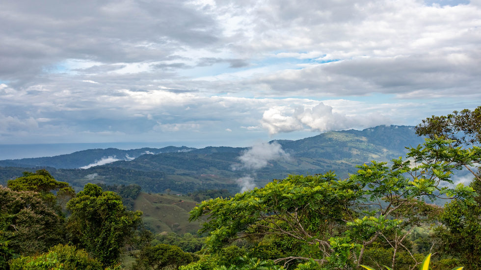 2 bed Single Family Homes For Sale in Tinamastes, San Jose - thumb 28