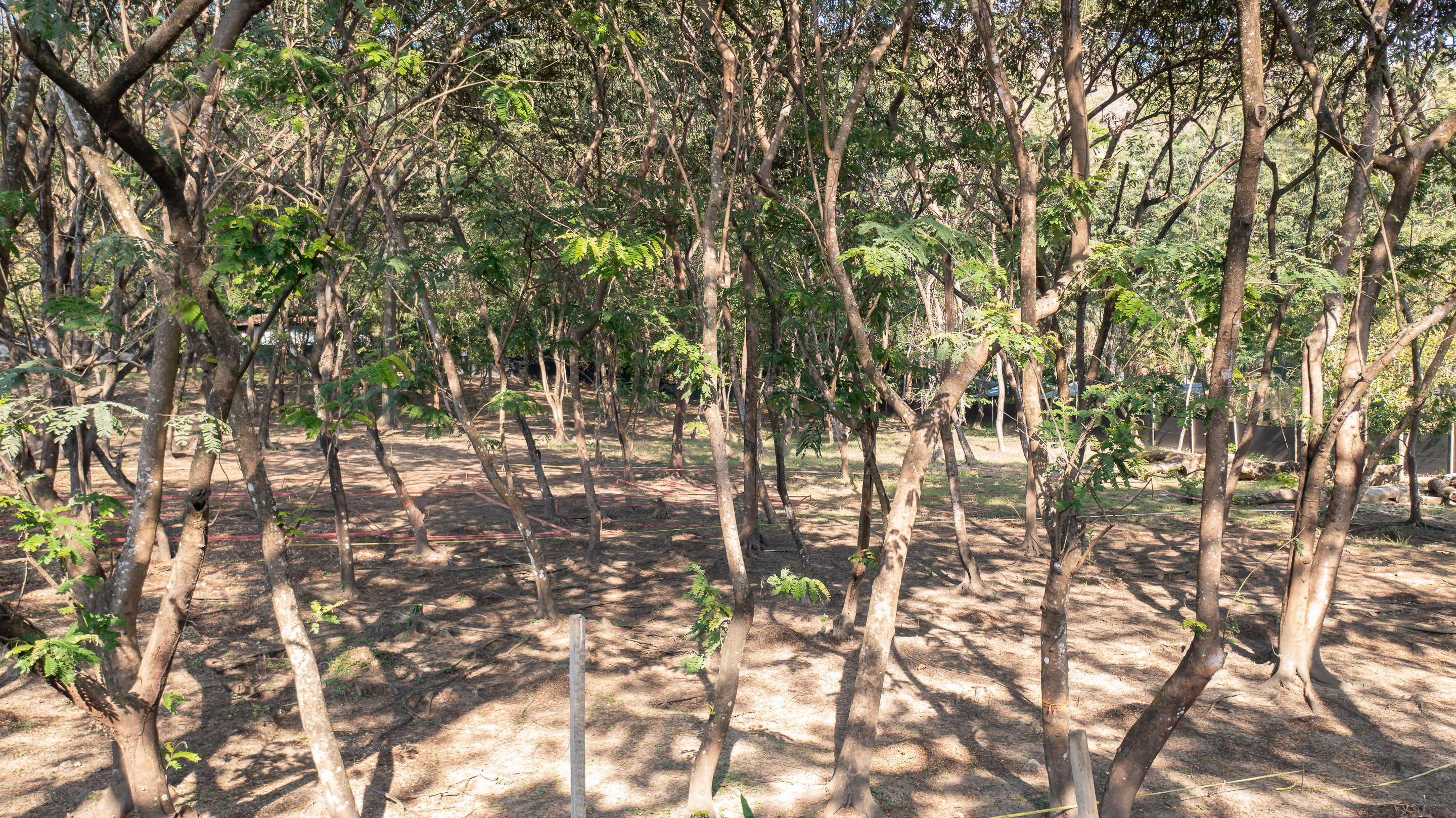 0 bed Land For Sale in Santa Teresa, Puntarenas - thumb 7