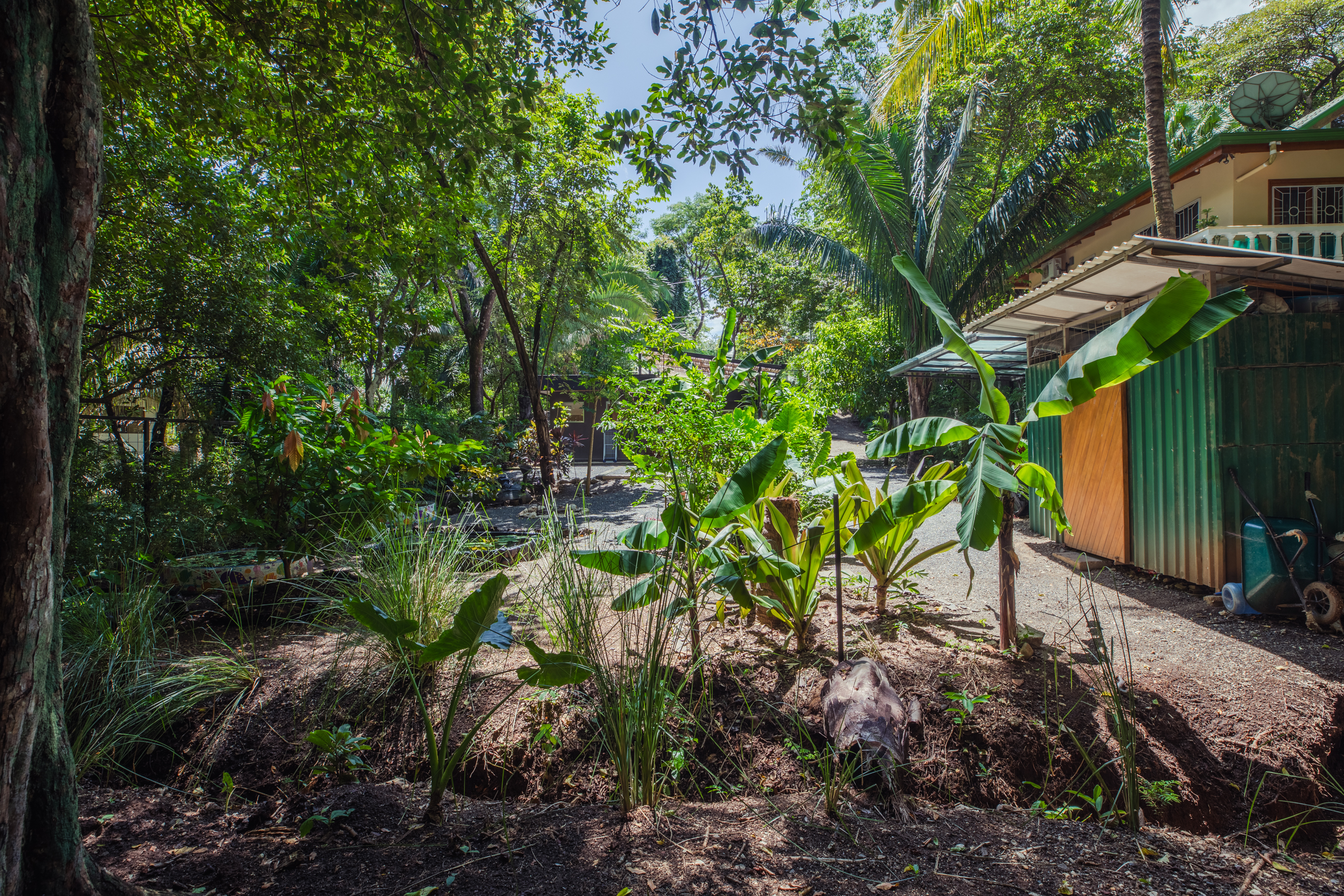 1 bed Single Family Homes For Sale in Playa Pelada, Guanacaste - thumb 16