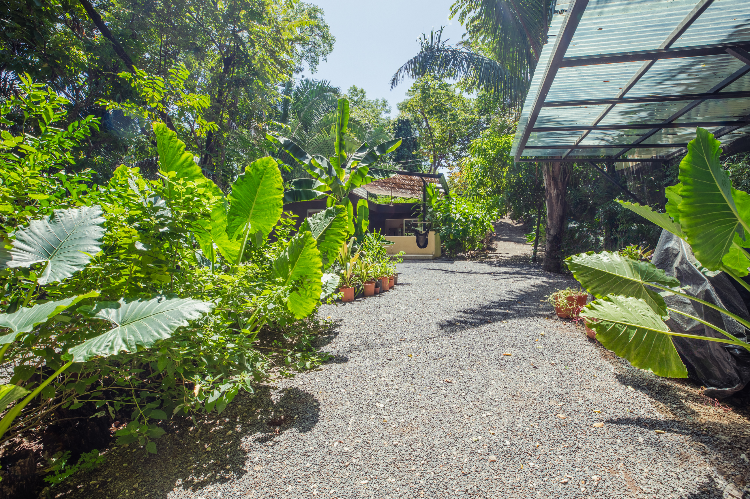 1 bed Single Family Homes For Sale in Playa Pelada, Guanacaste - thumb 17