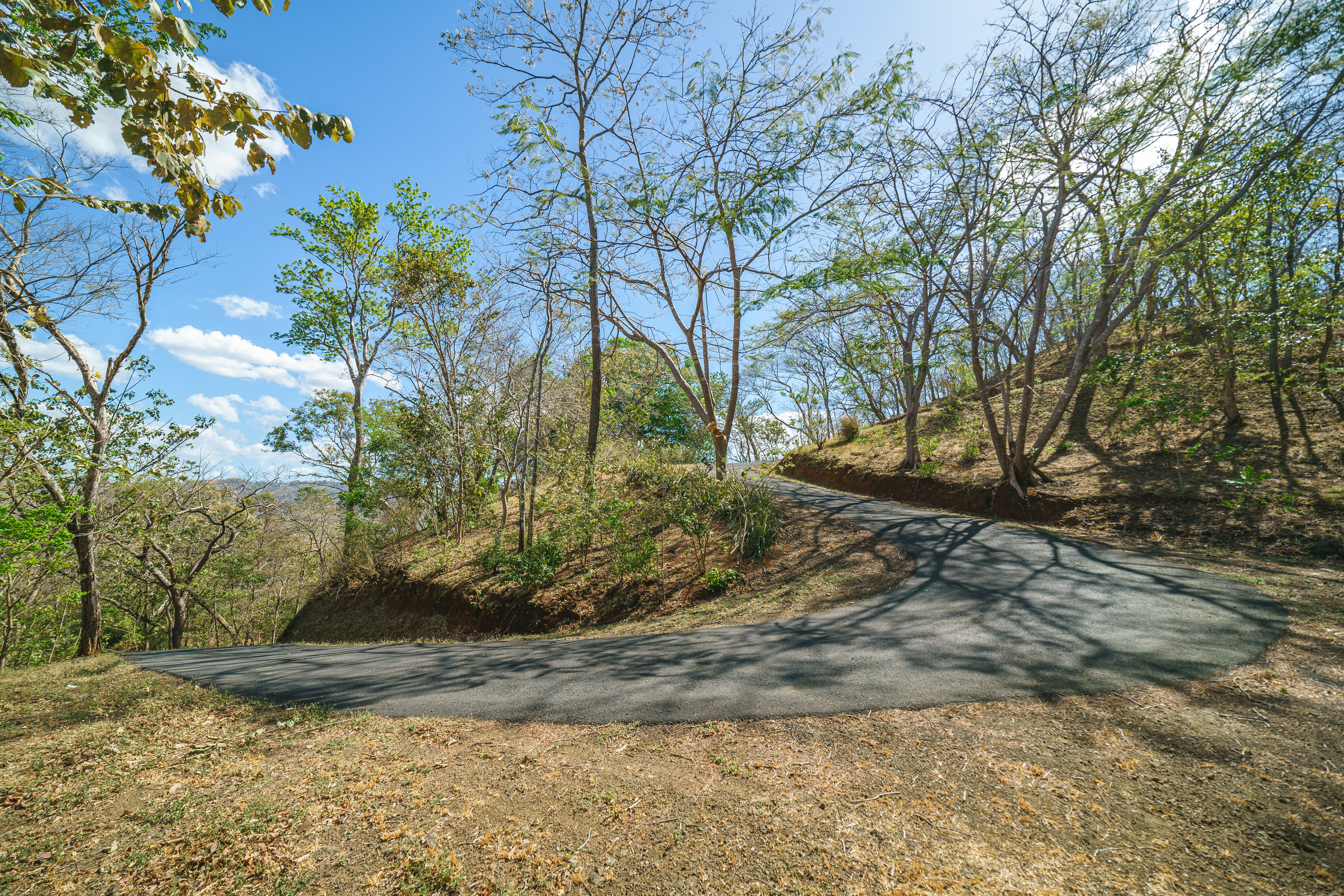 5 bed Single Family Homes For Sale in Tamarindo, Guanacaste - thumb 3