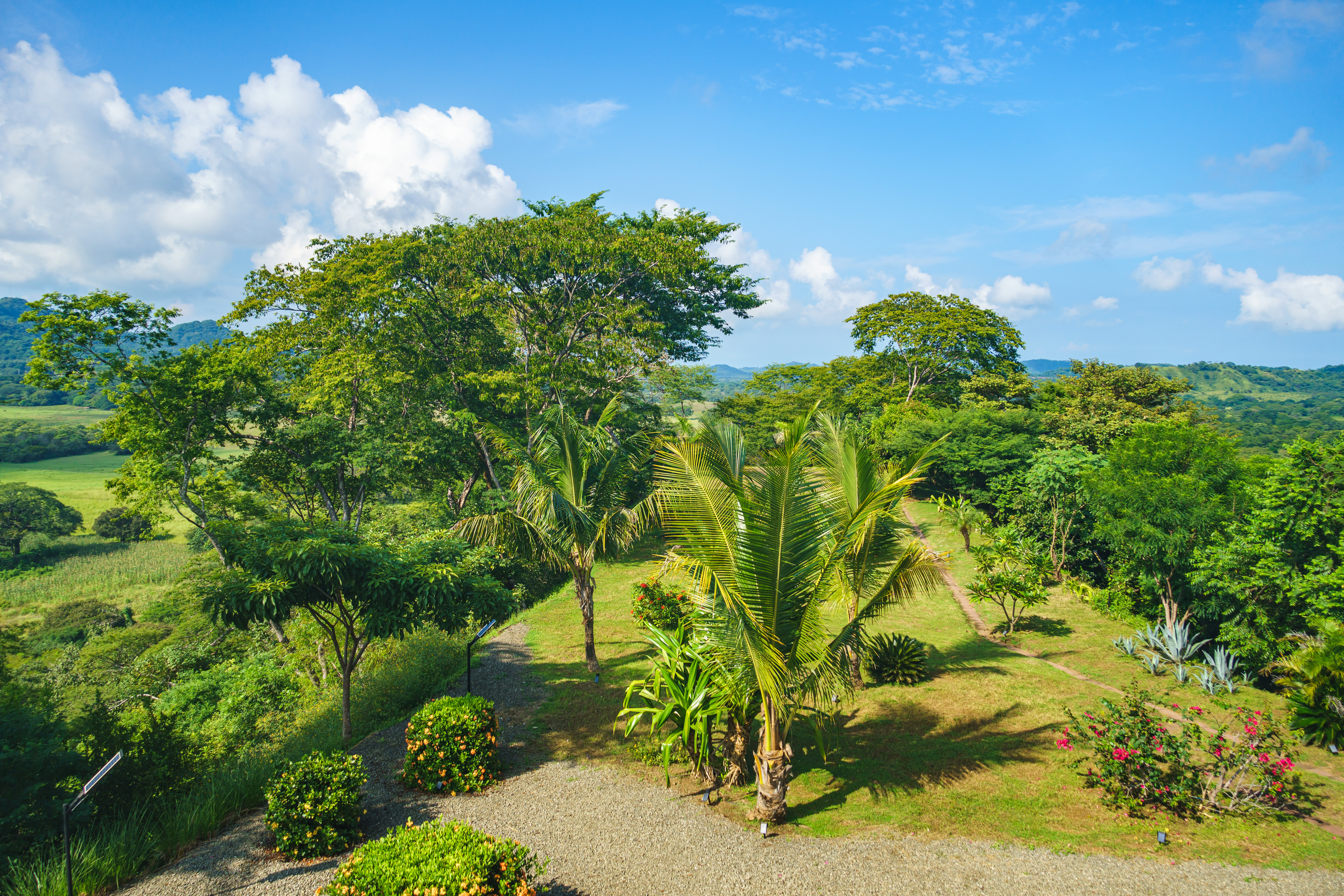 5 bed Single Family Homes For Sale in Tamarindo, Guanacaste - thumb 8