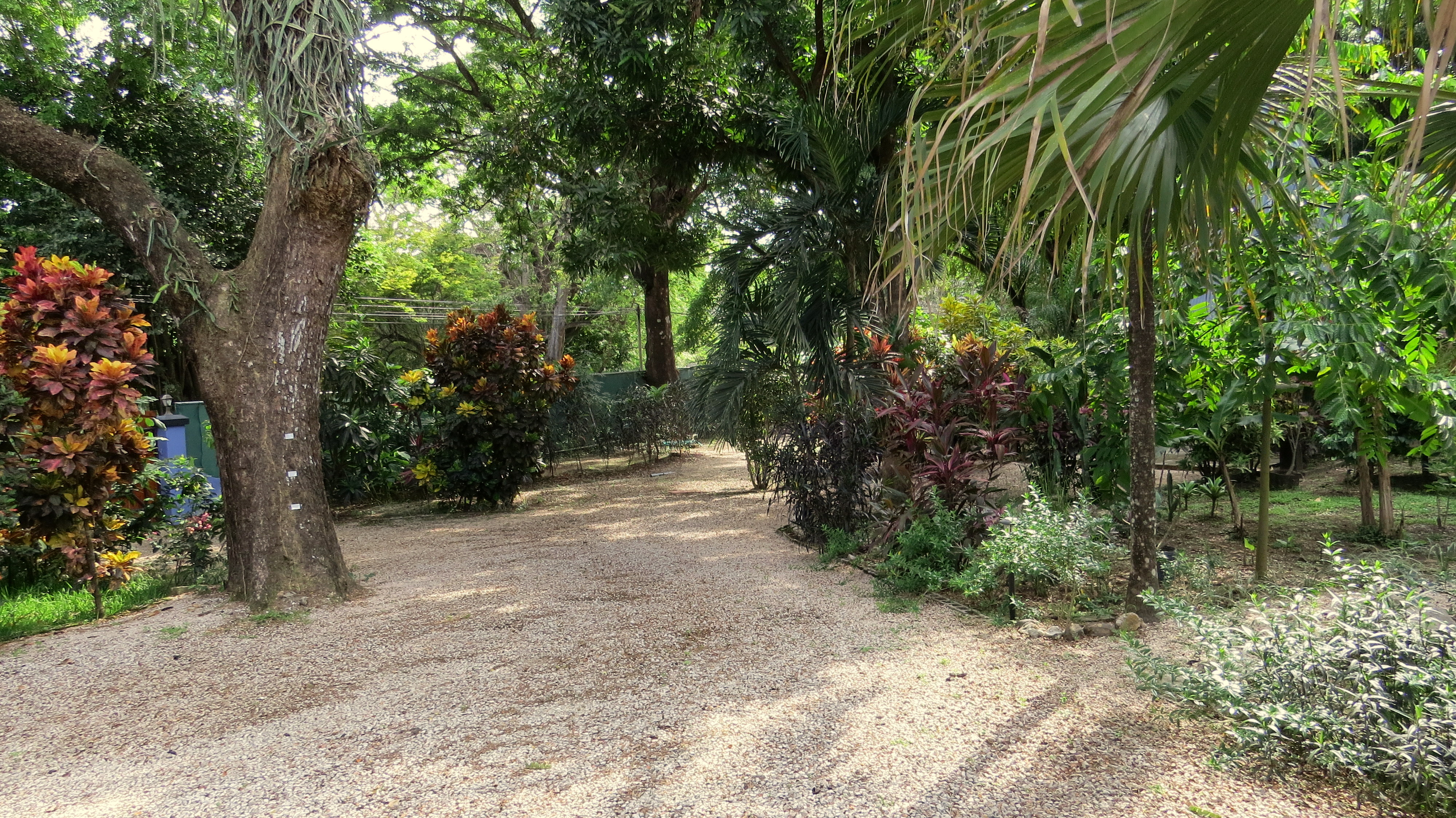 3 bed Single Family Homes For Sale in Samara, Guanacaste - thumb 4