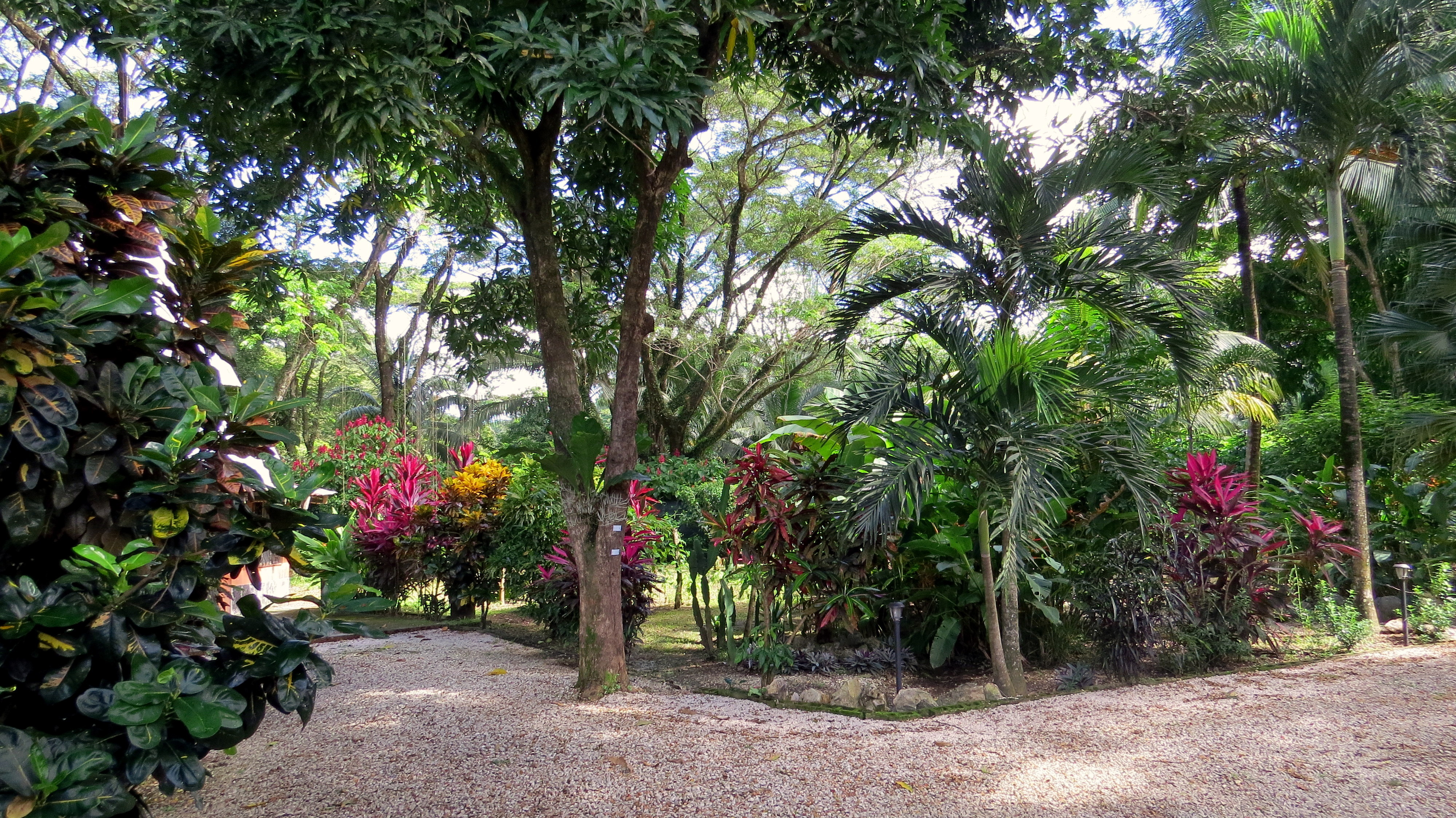 3 bed Single Family Homes For Sale in Samara, Guanacaste - thumb 5