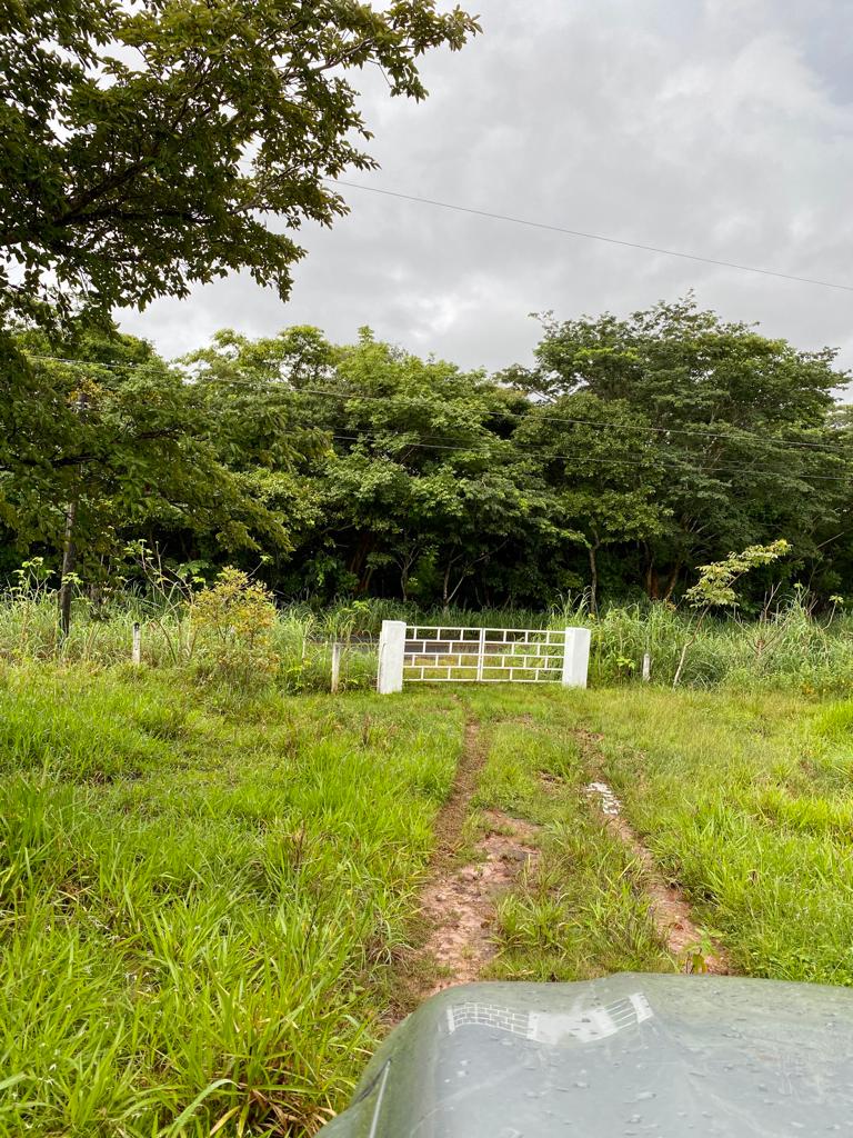 0 bed Land For Sale in Turrubares, San Jose - thumb 6