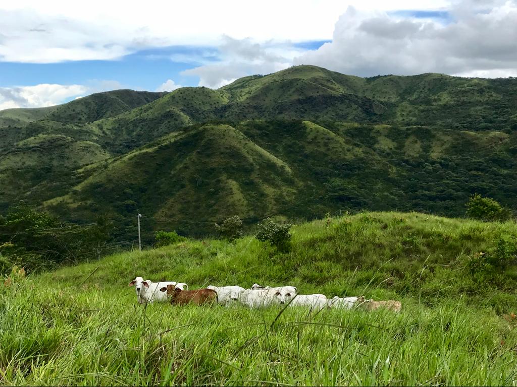 0 bed Land For Sale in Turrubares, San Jose - thumb 4