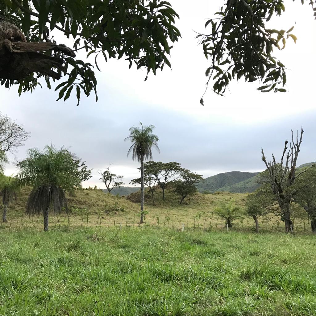 0 bed Land For Sale in Turrubares, San Jose - thumb 2