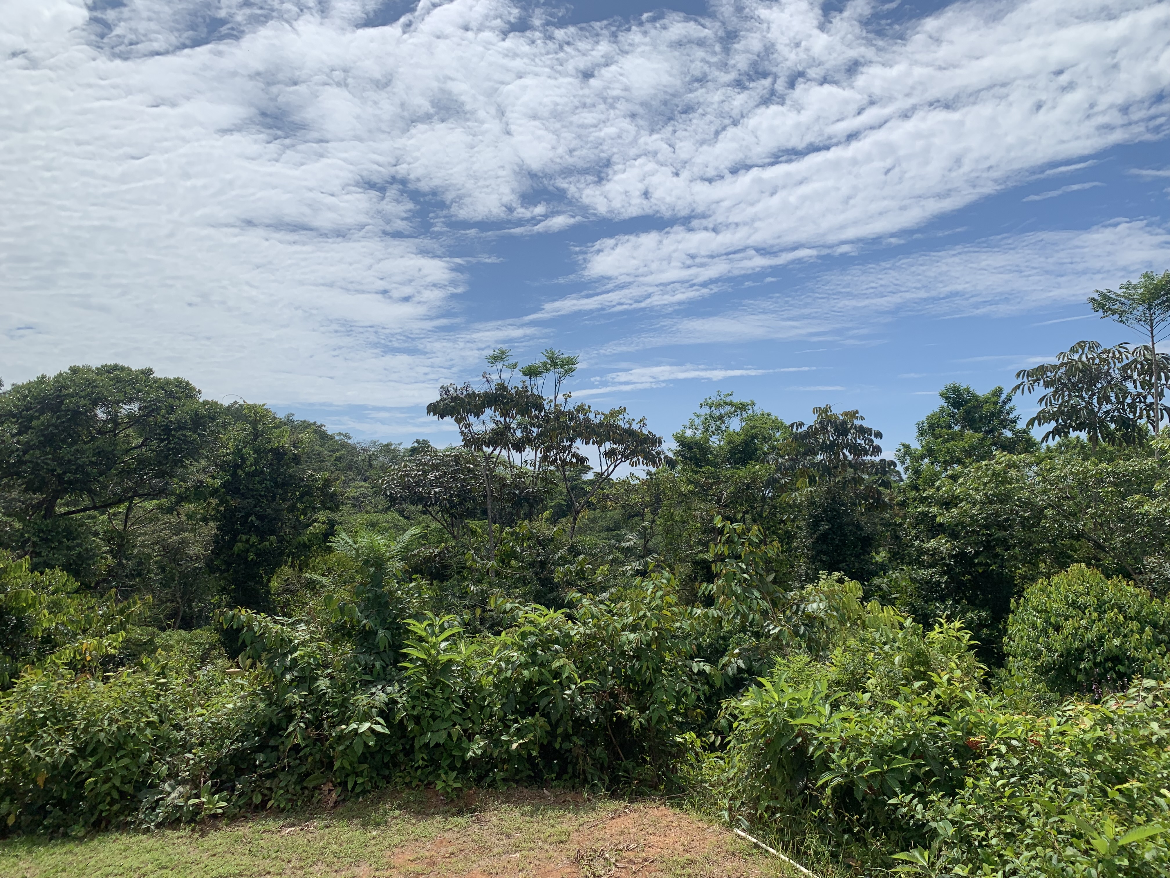 0 bed Land For Sale in Uvita, Puntarenas - thumb 11