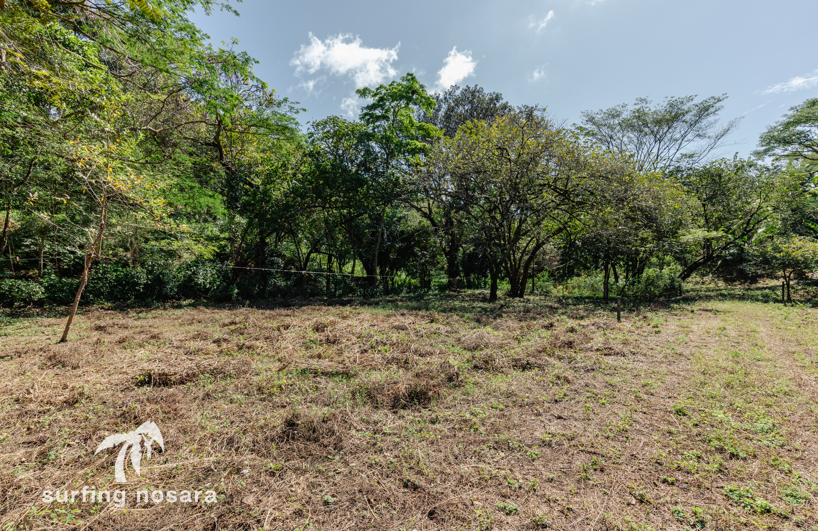 0 bed Land For Sale in Nosara, Guanacaste - thumb 2