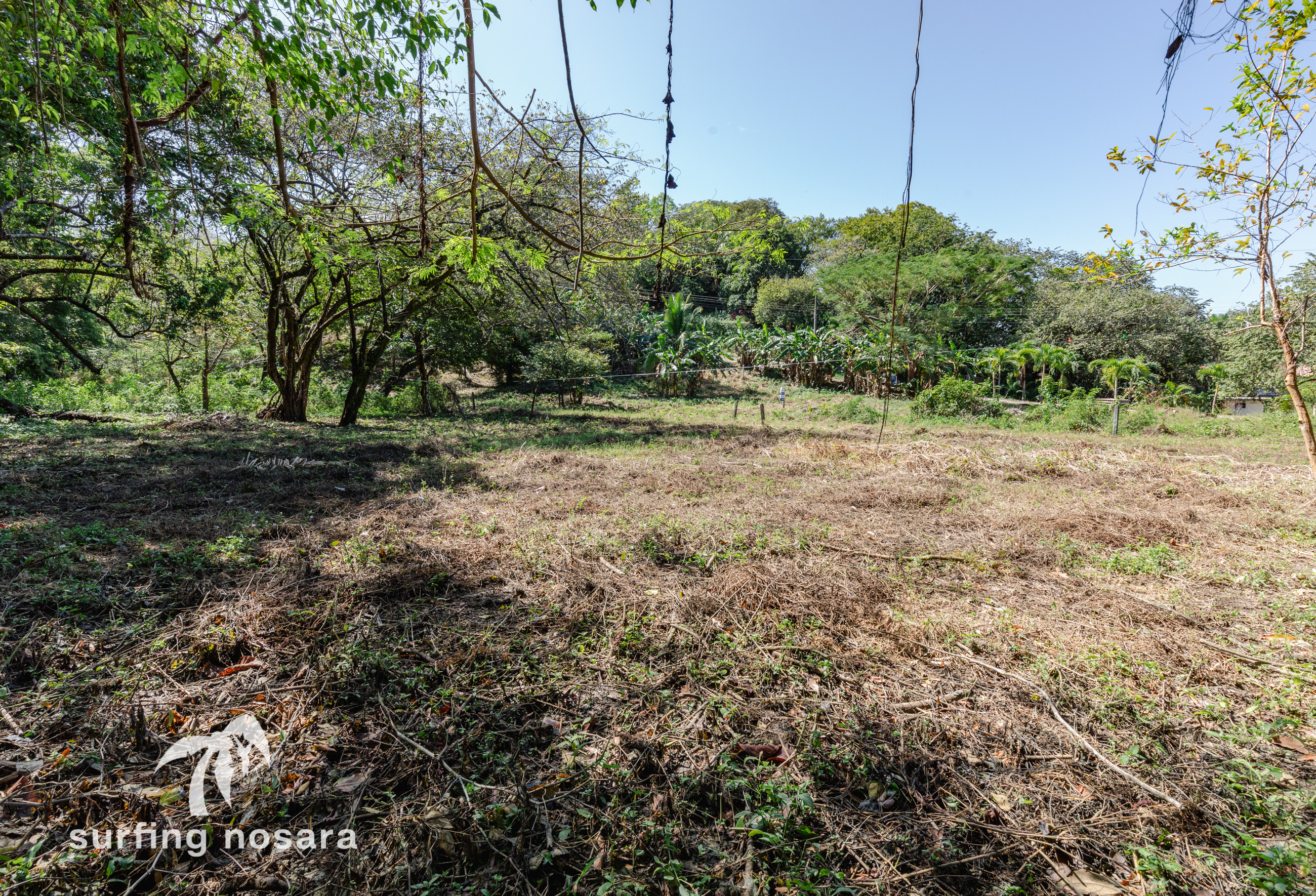 0 bed Land For Sale in Nosara, Guanacaste - thumb 1