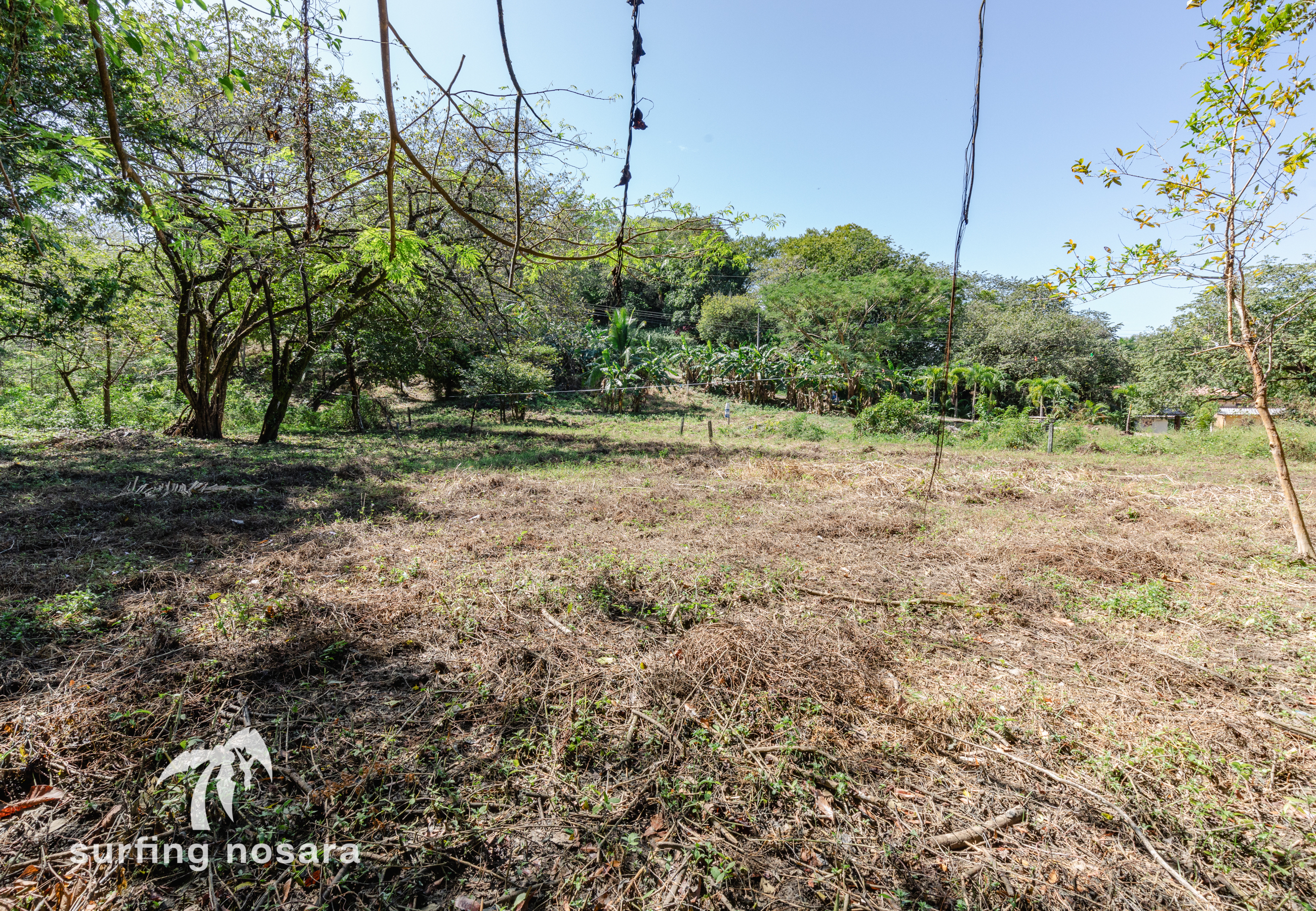 0 bed Land For Sale in Nosara, Guanacaste - thumb 3