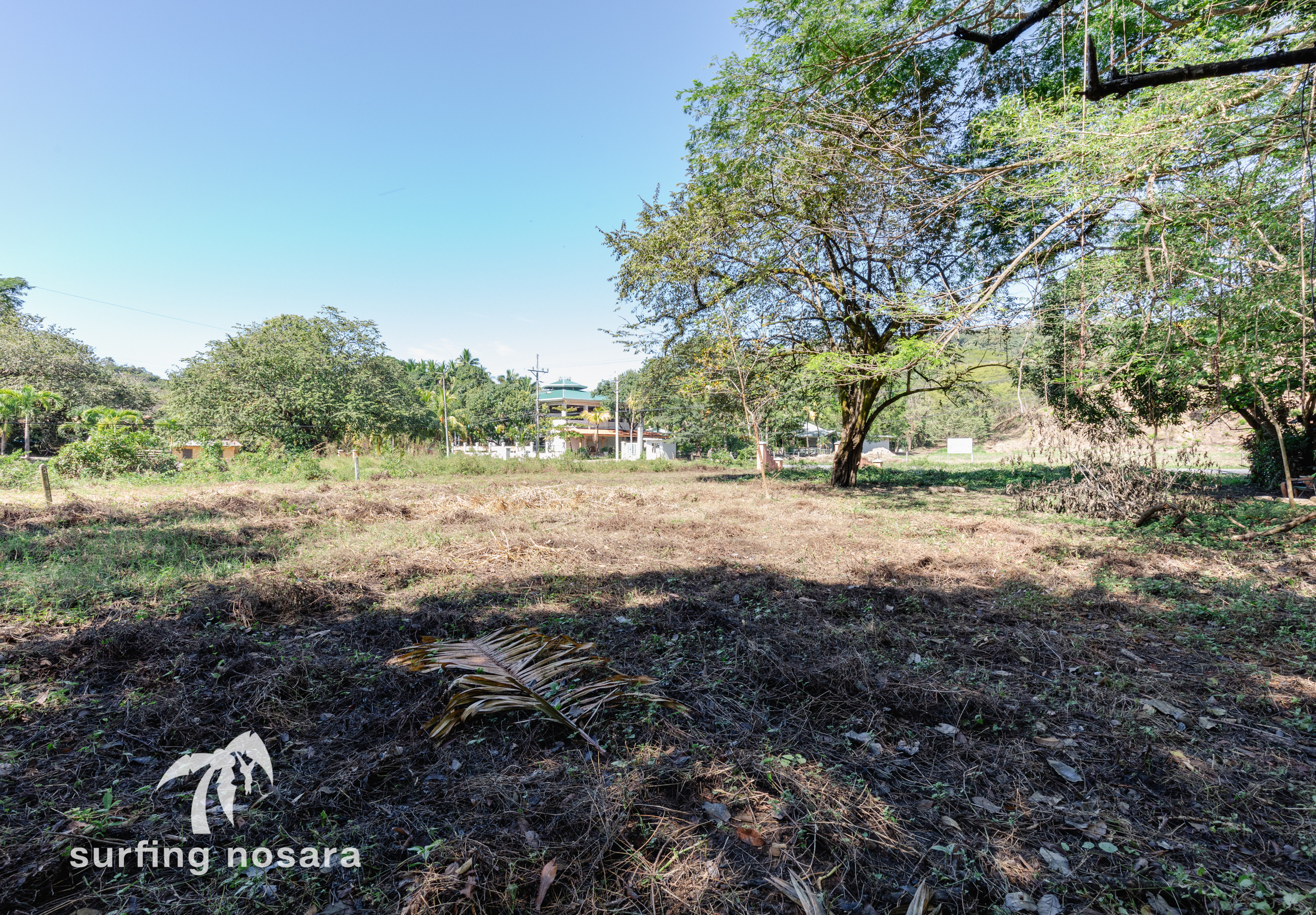 0 bed Land For Sale in Nosara, Guanacaste - thumb 4