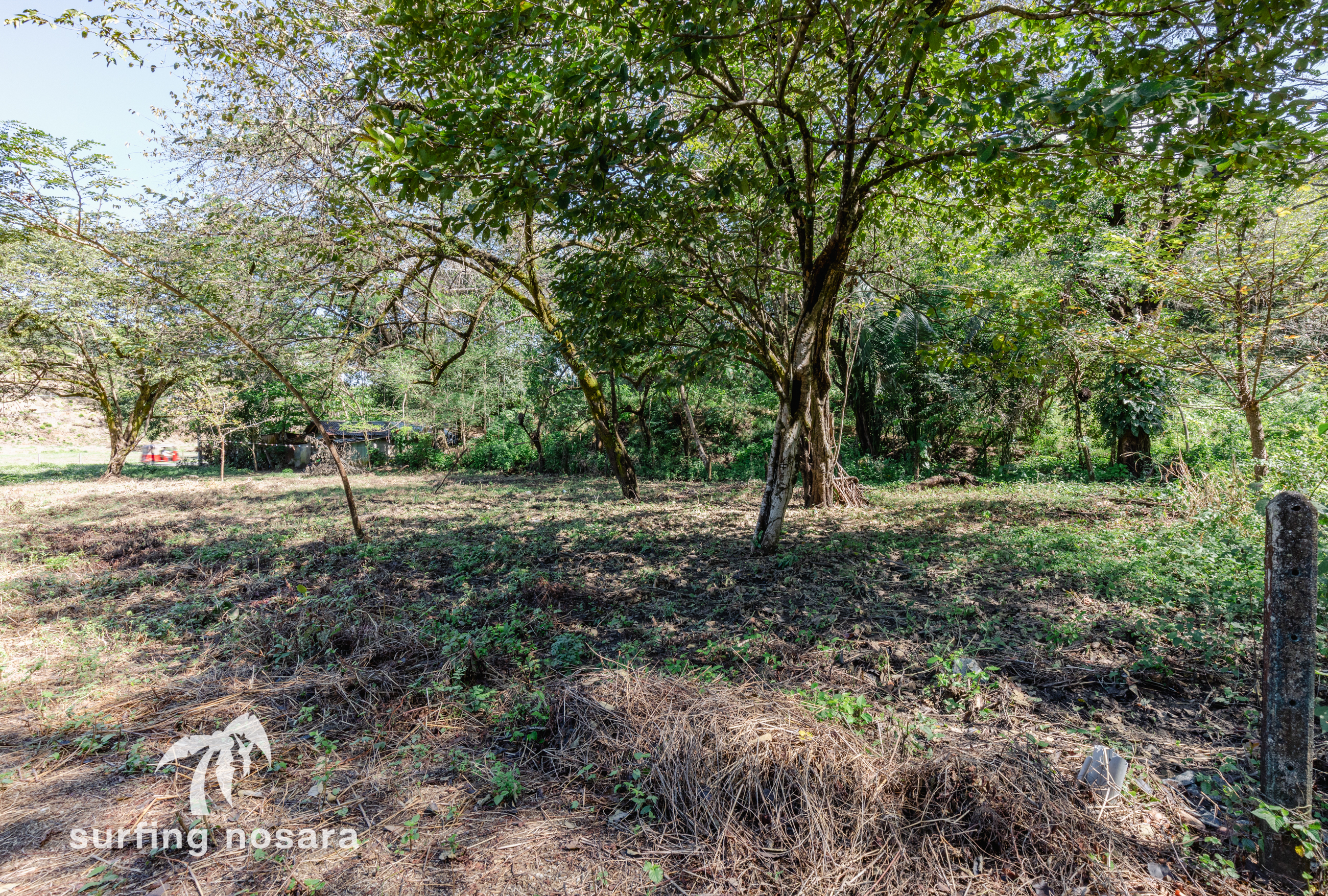 0 bed Land For Sale in Nosara, Guanacaste - thumb 3